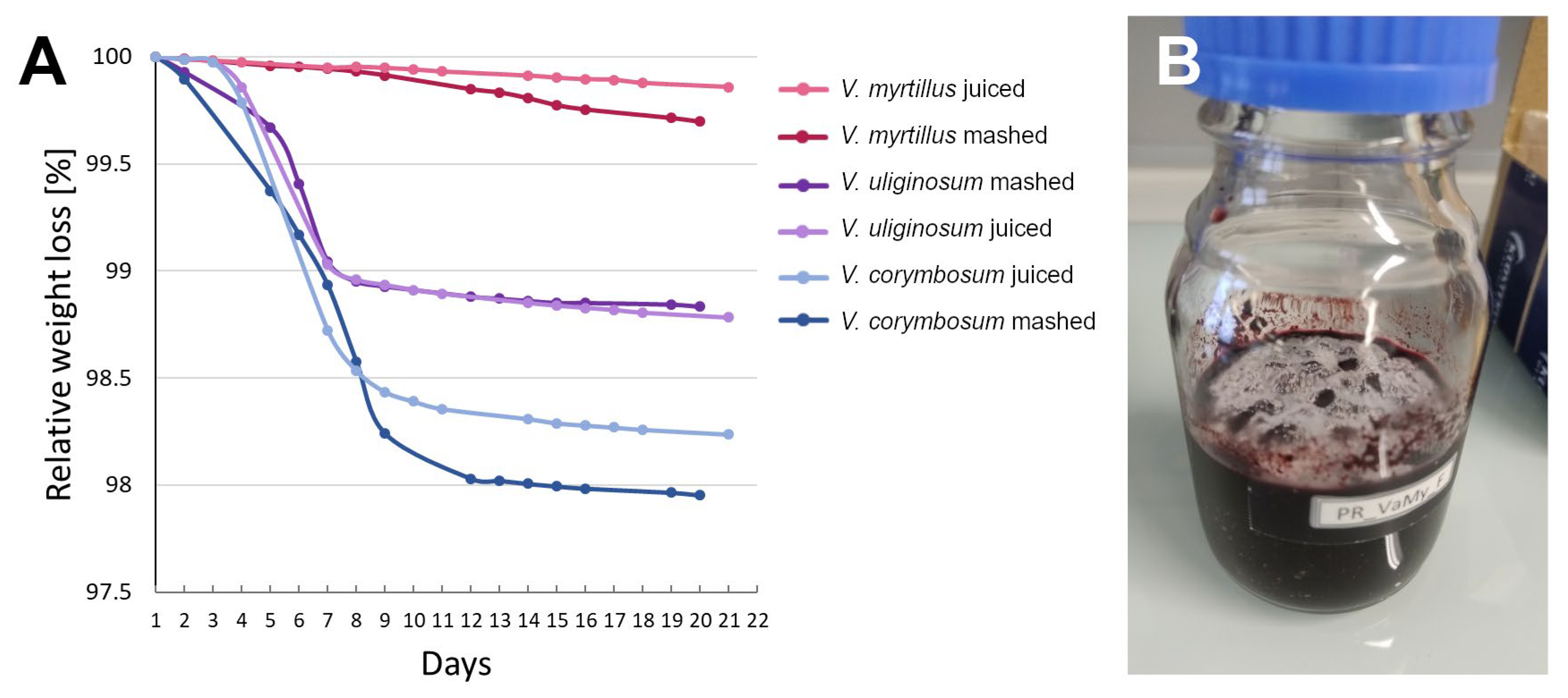 Plants 14 02645 g006 Plants 14 02645 g006