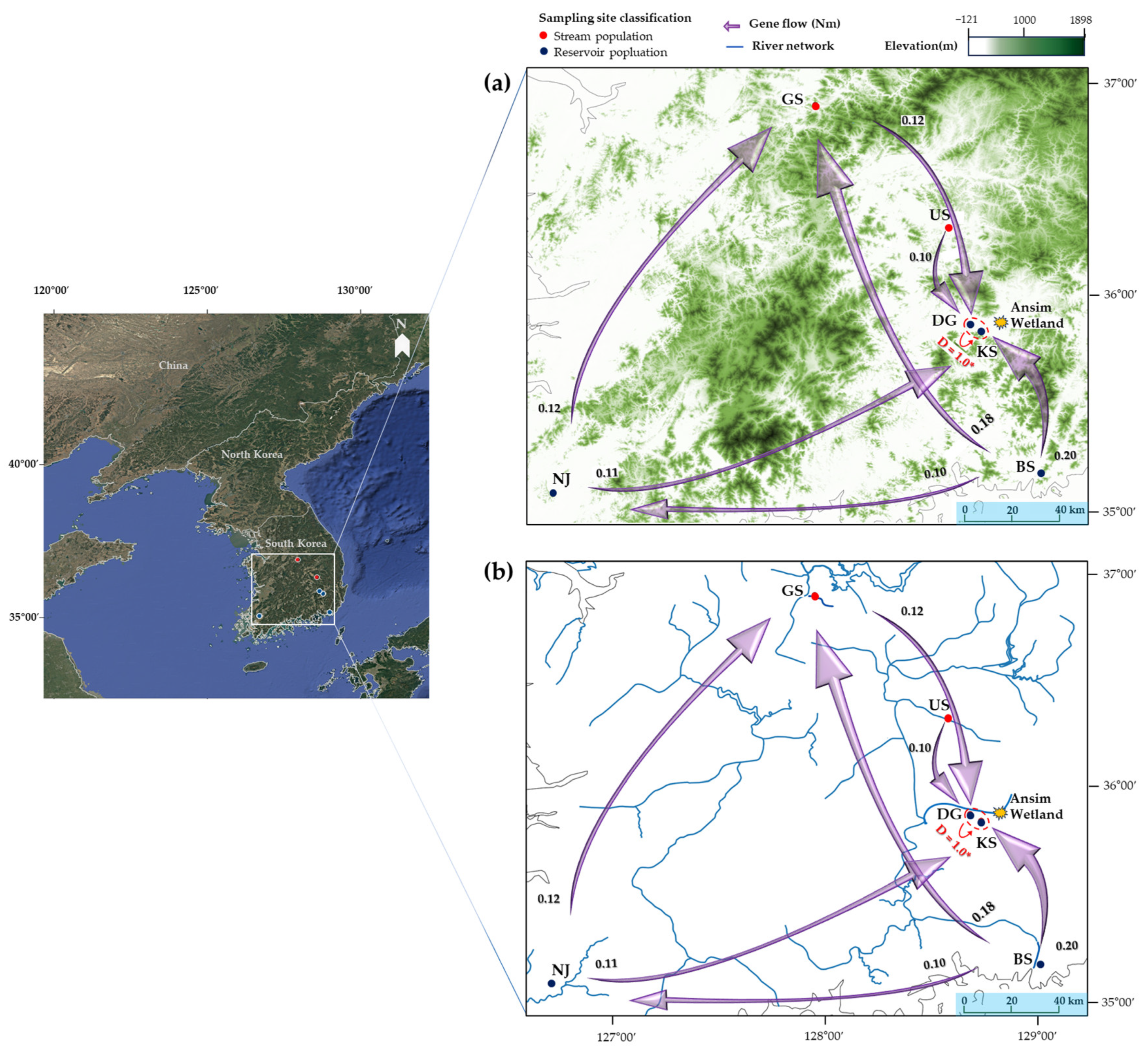 Plants 14 02648 g003 Plants 14 02648 g003