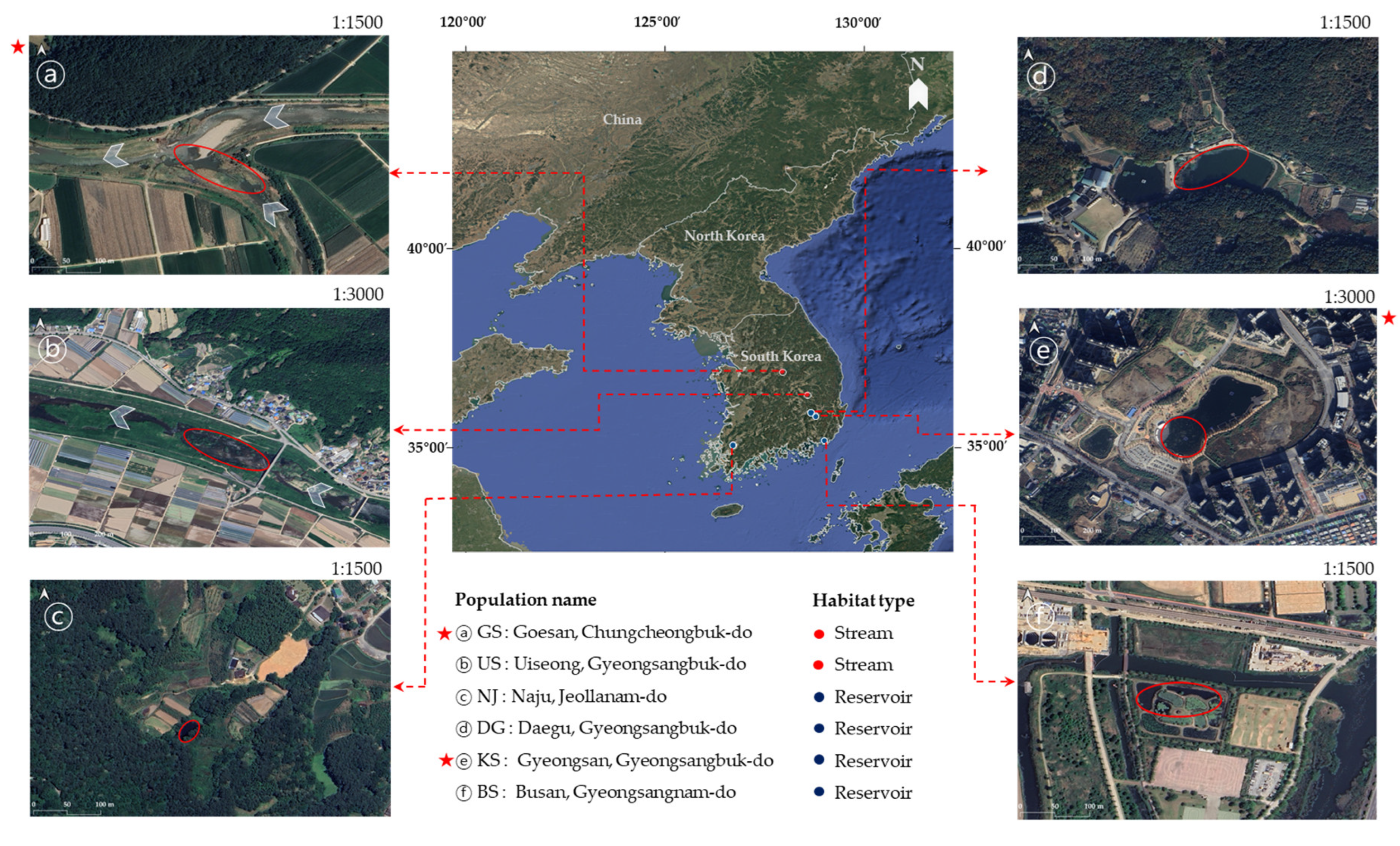 Plants 14 02648 g006 Plants 14 02648 g006