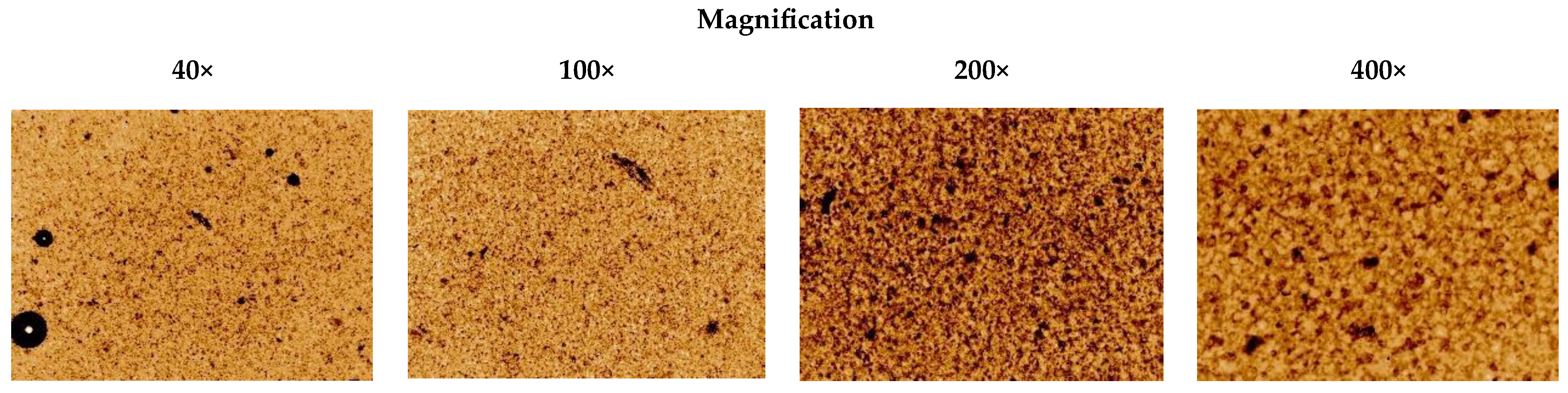 Plants 14 02651 g001