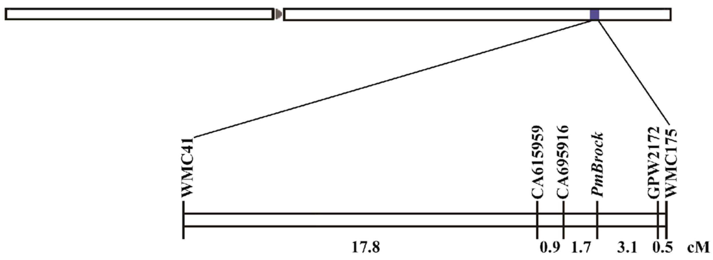Plants 14 02652 g003 Plants 14 02652 g003