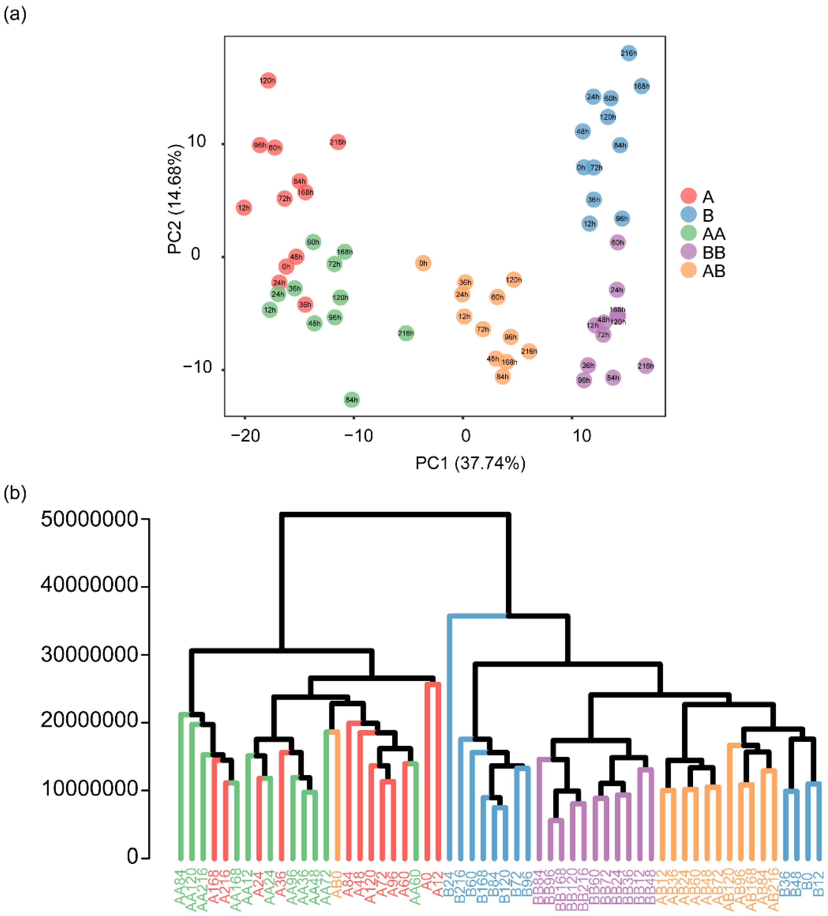 Plants 14 02656 g003