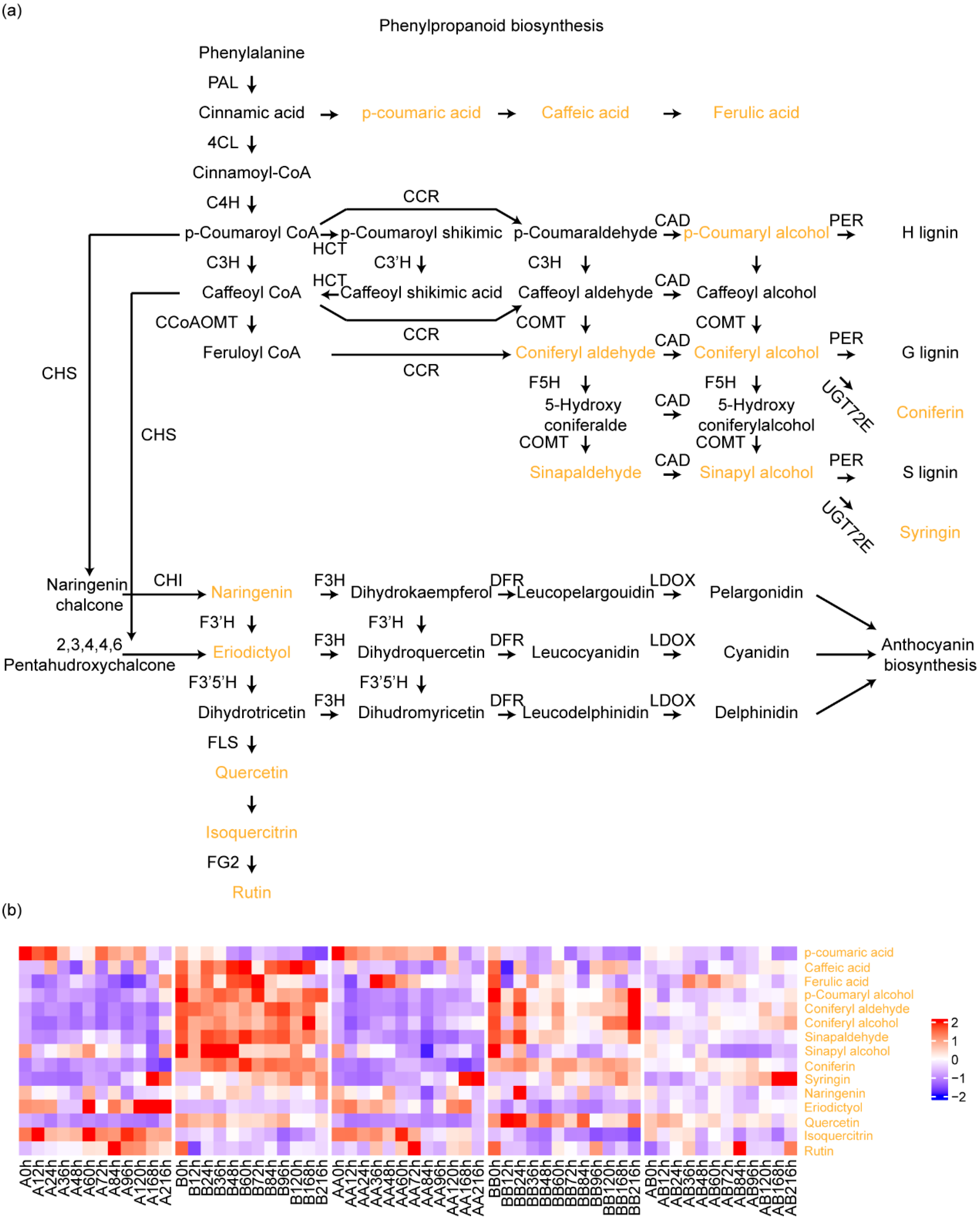 Plants 14 02656 g004