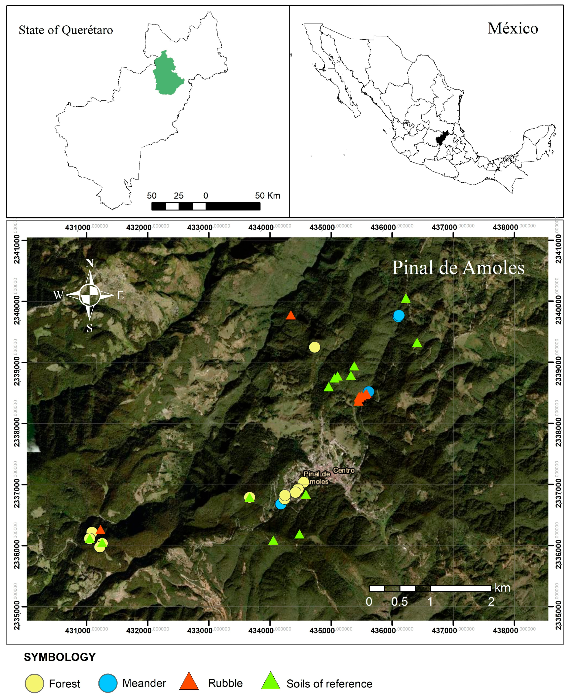 Plants 14 02657 g001
