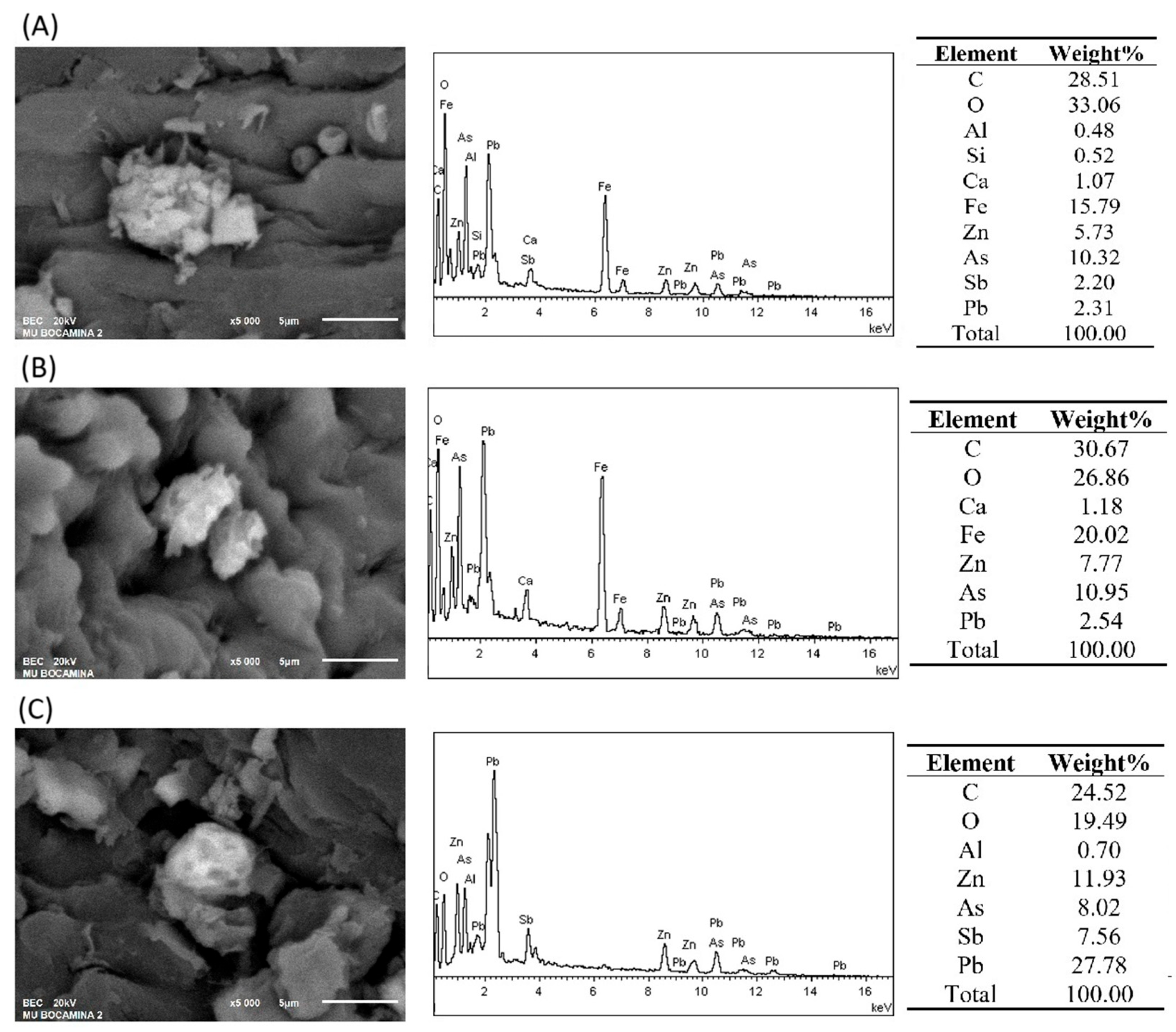 Plants 14 02657 g007