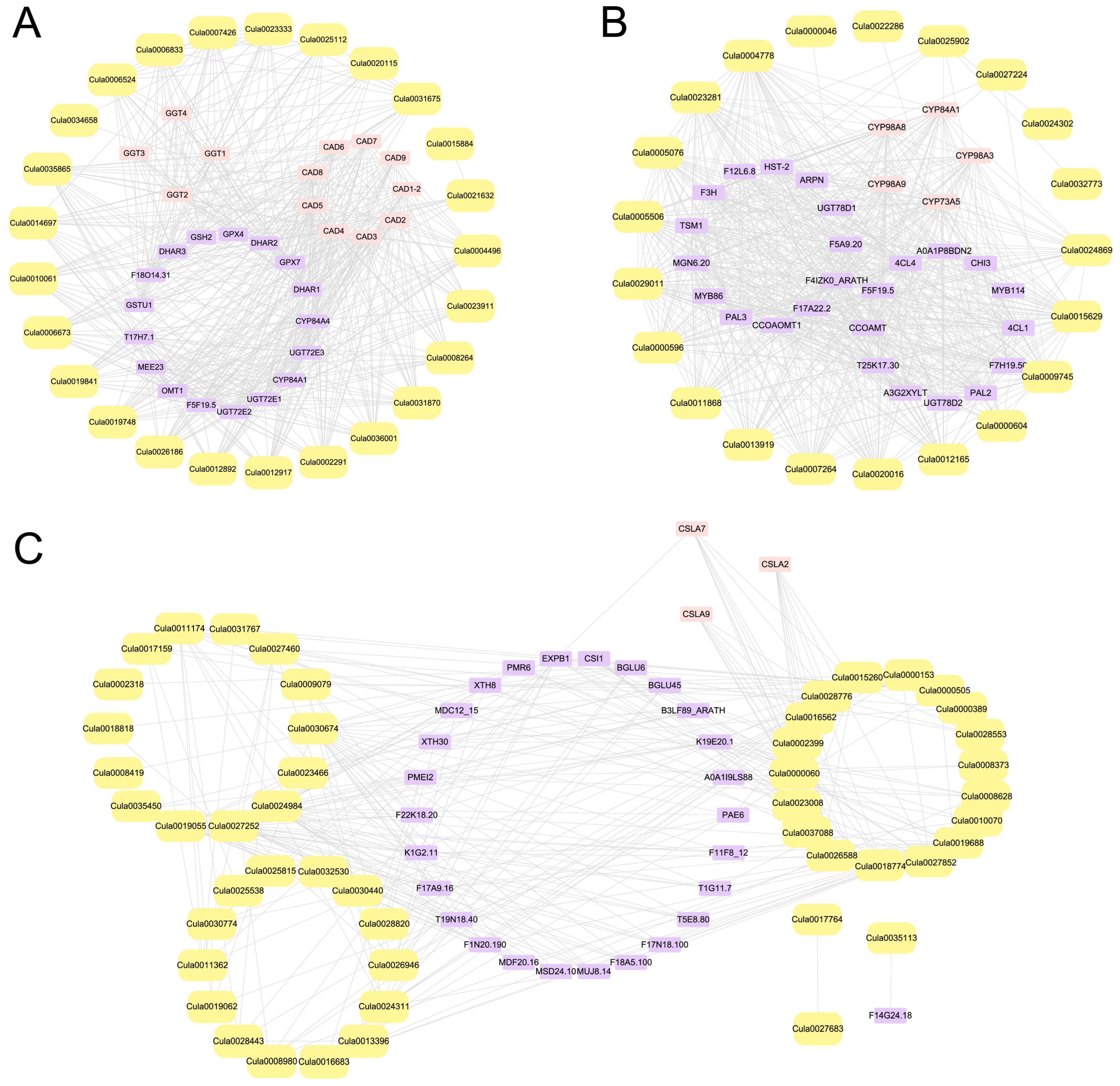 Plants 14 02658 g012