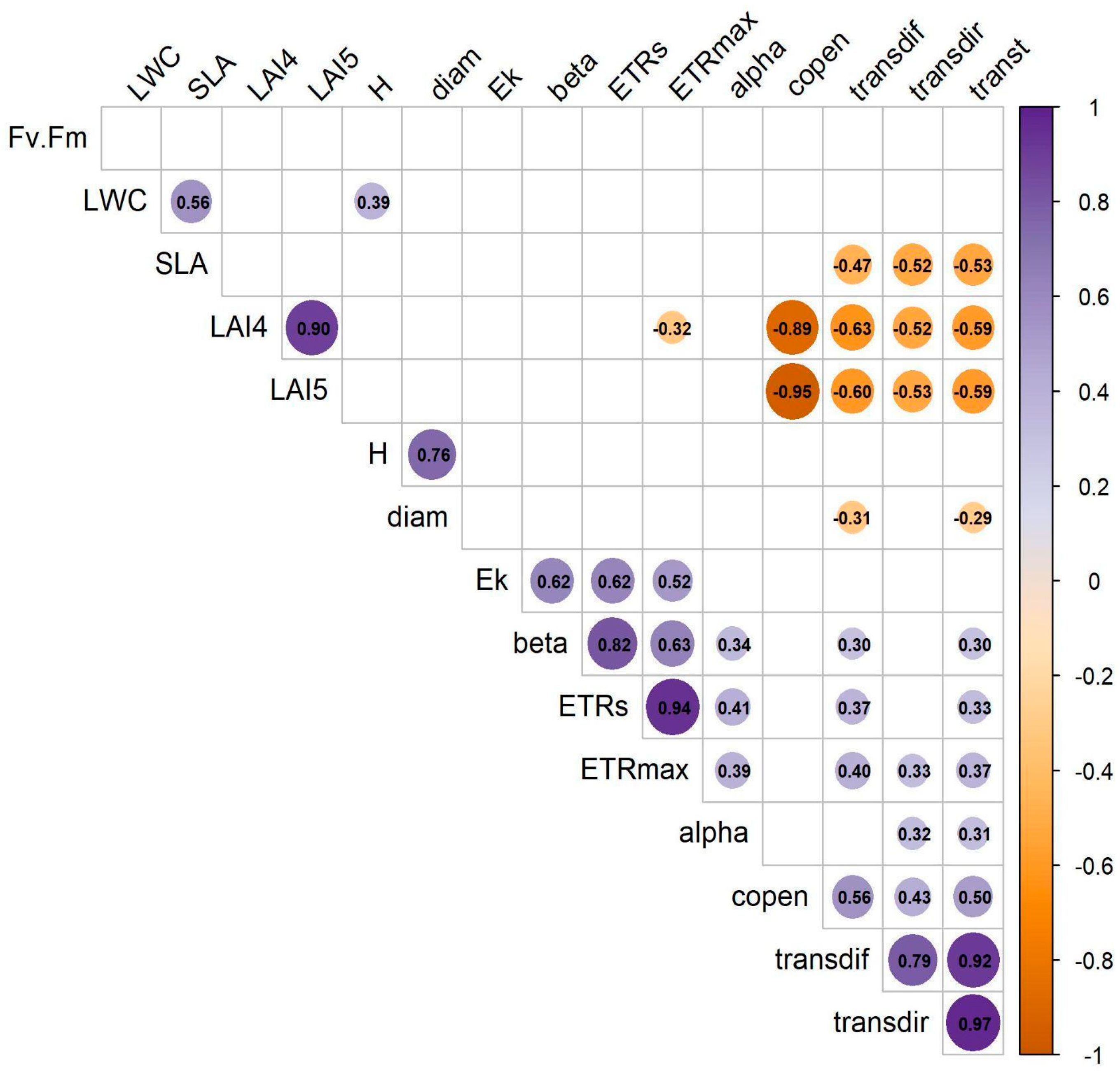 Plants 14 02659 g004