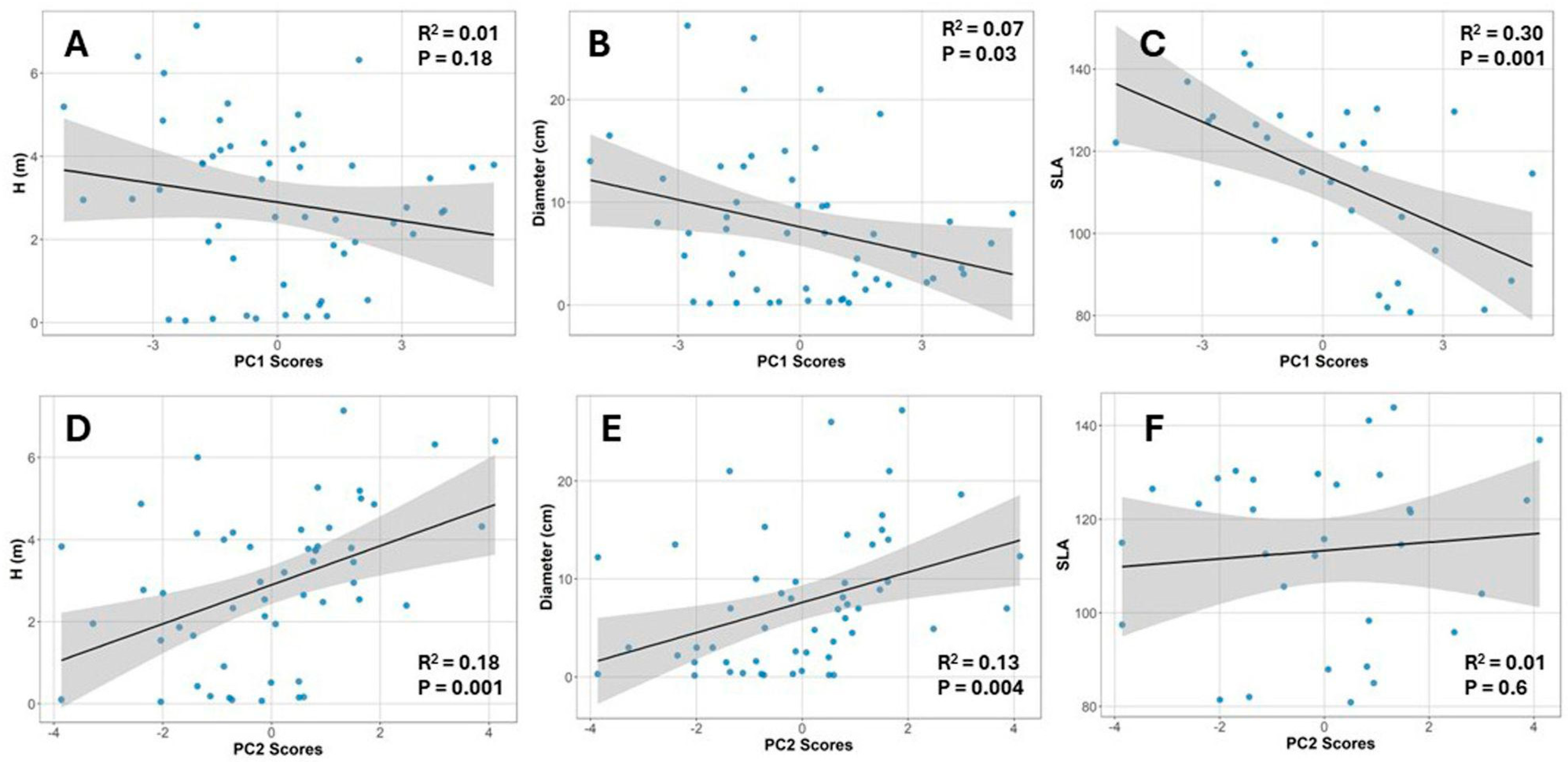 Plants 14 02659 g007