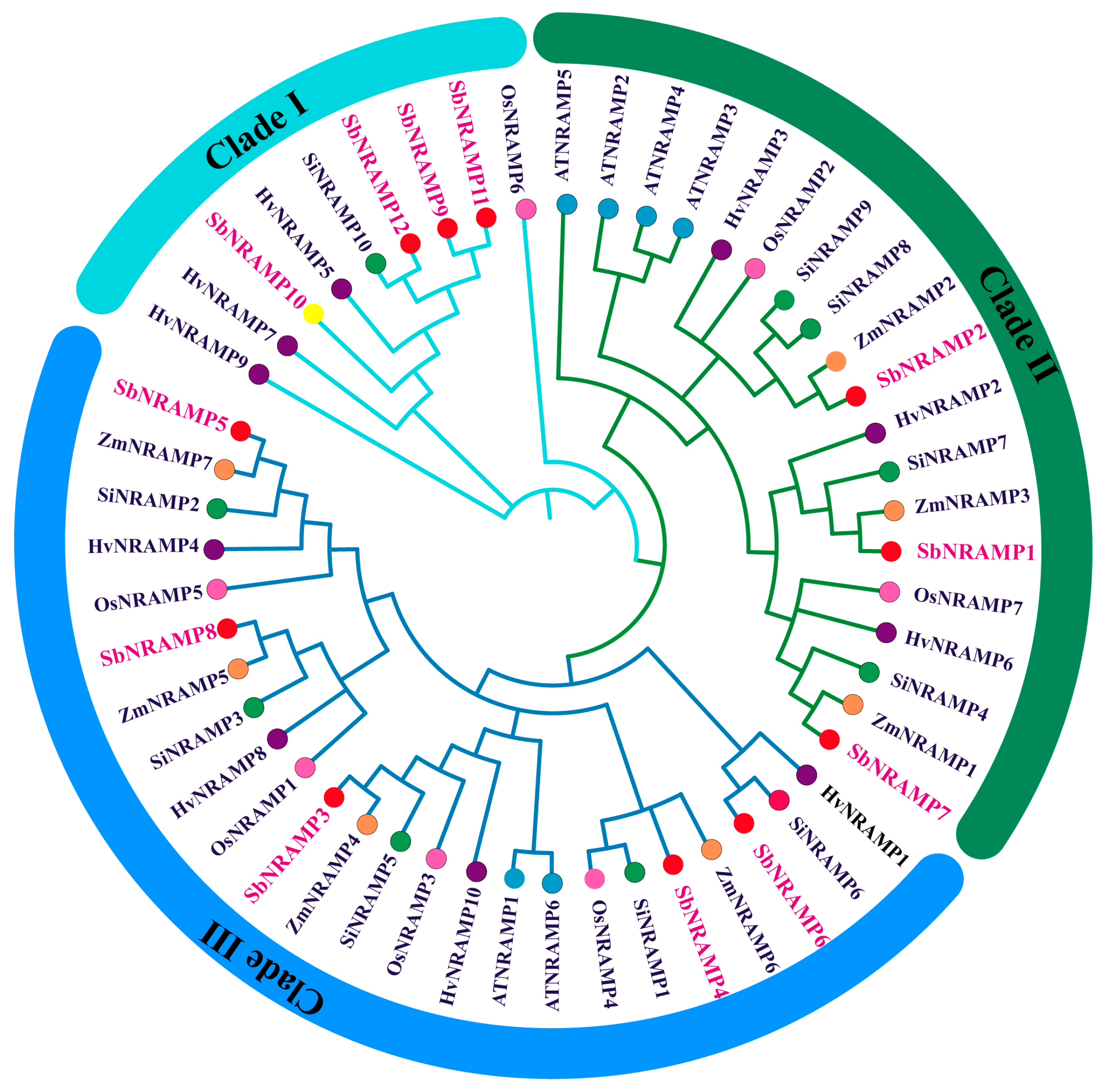 Plants 14 02660 g002