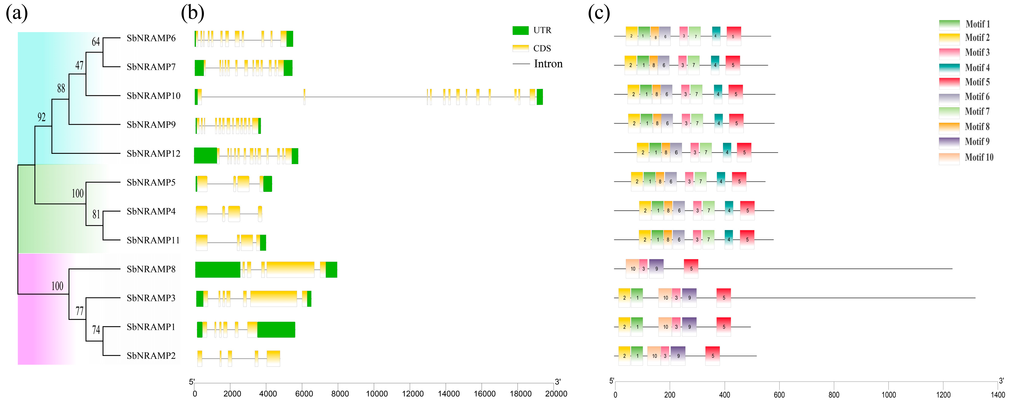 Plants 14 02660 g003a