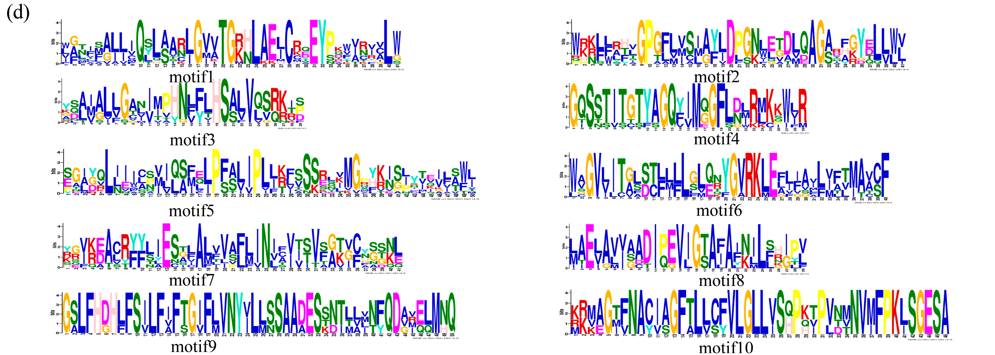 Plants 14 02660 g003b