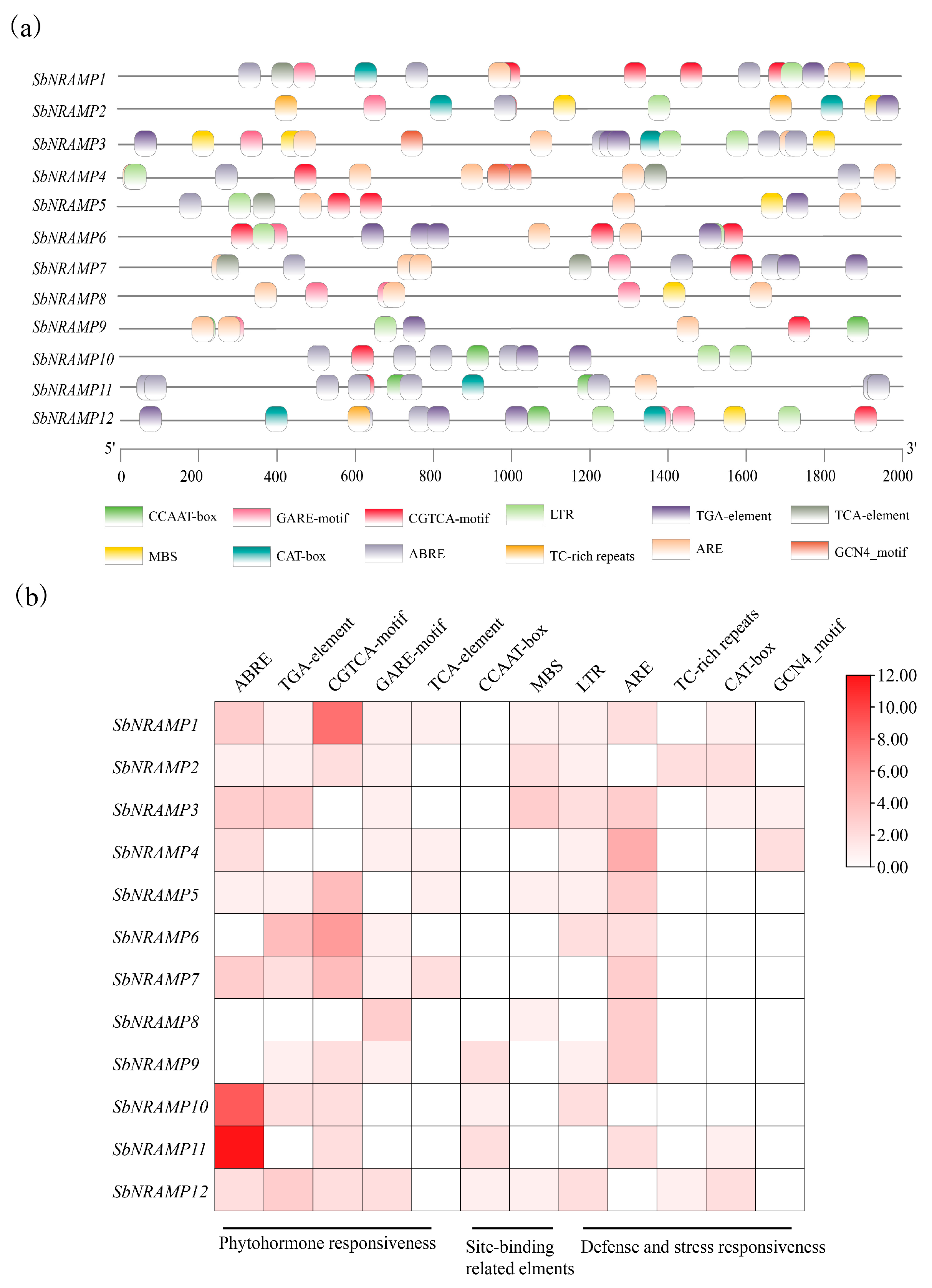 Plants 14 02660 g004
