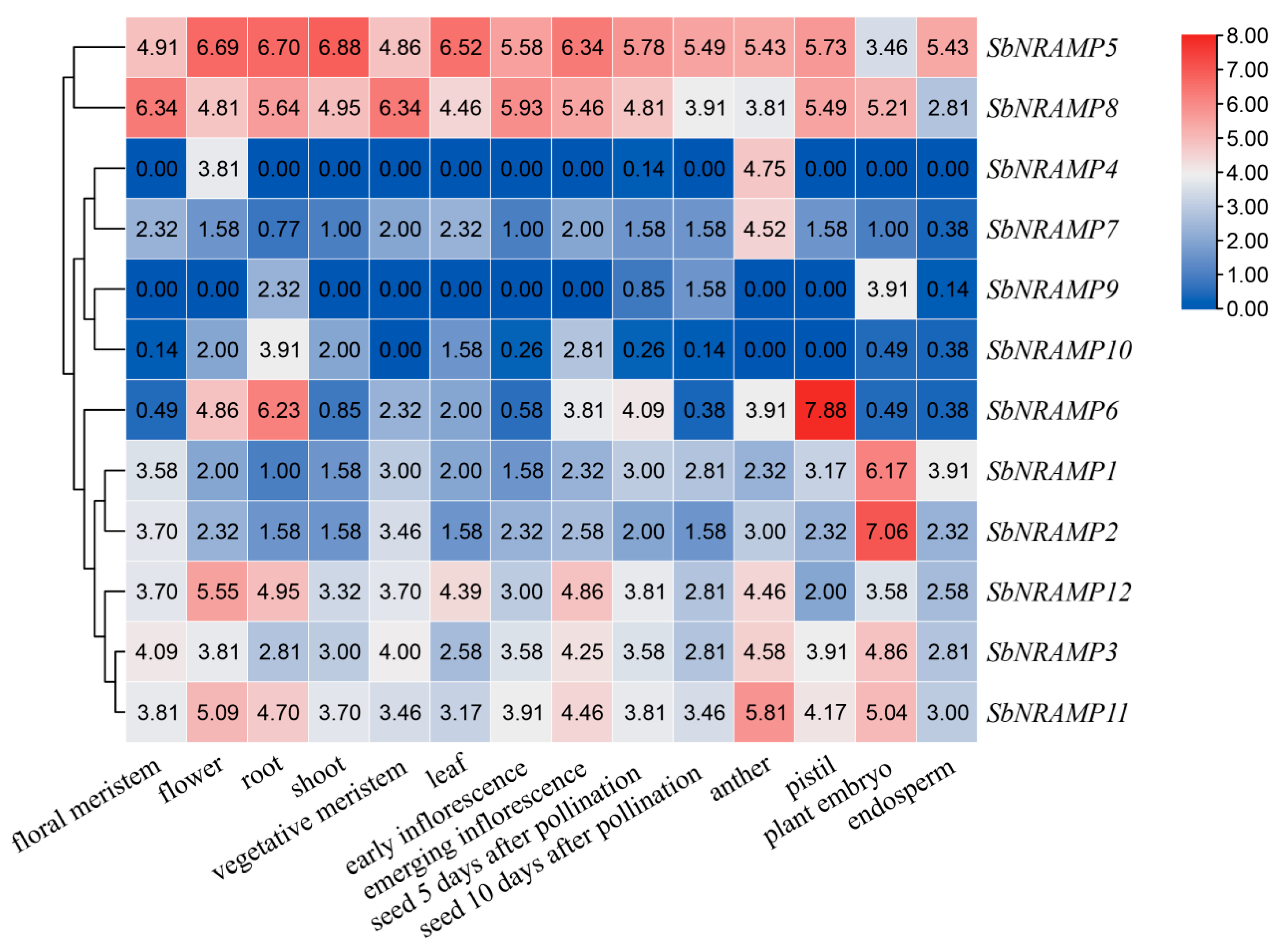Plants 14 02660 g006