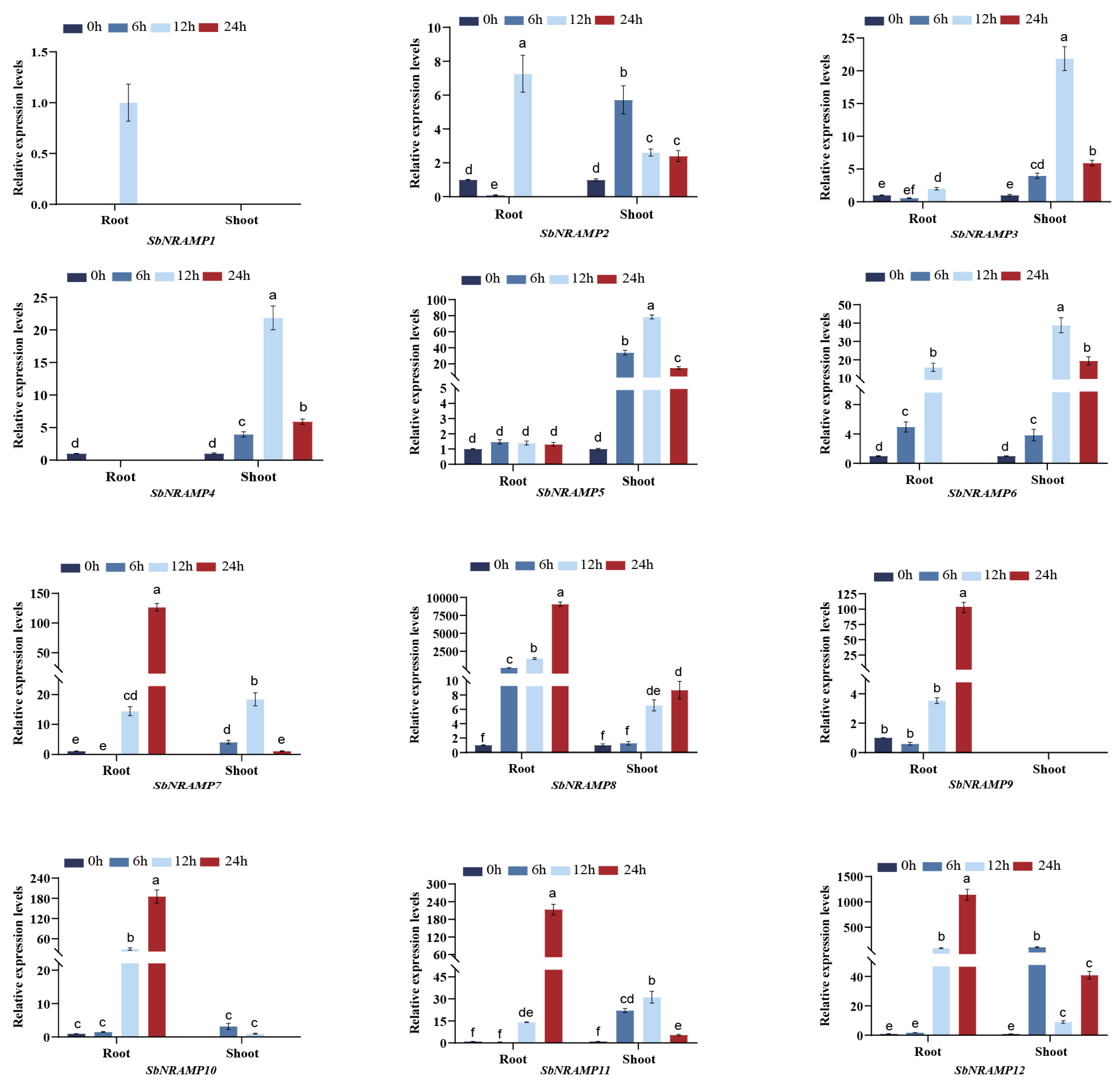 Plants 14 02660 g010