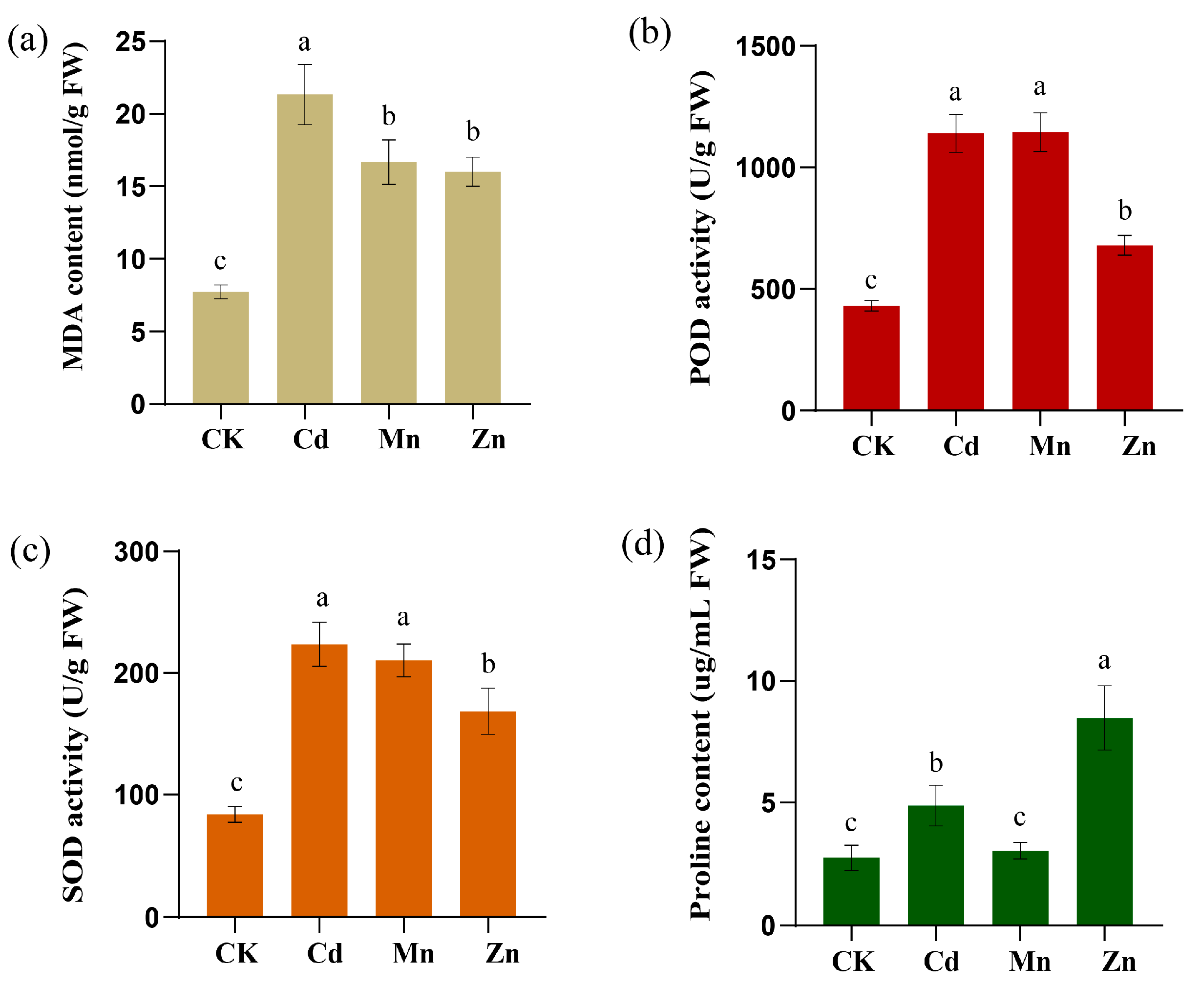 Plants 14 02660 g012