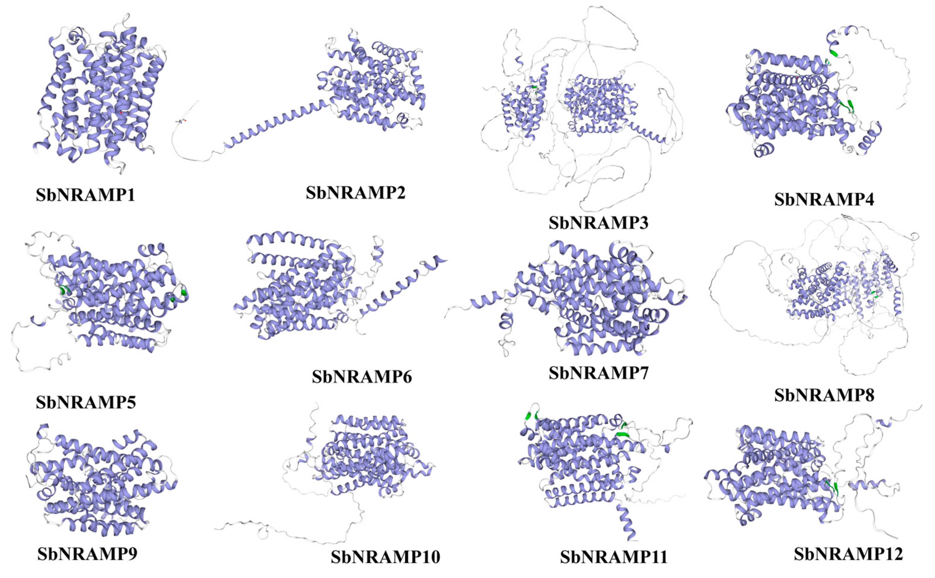 Plants 14 02660 g0a1