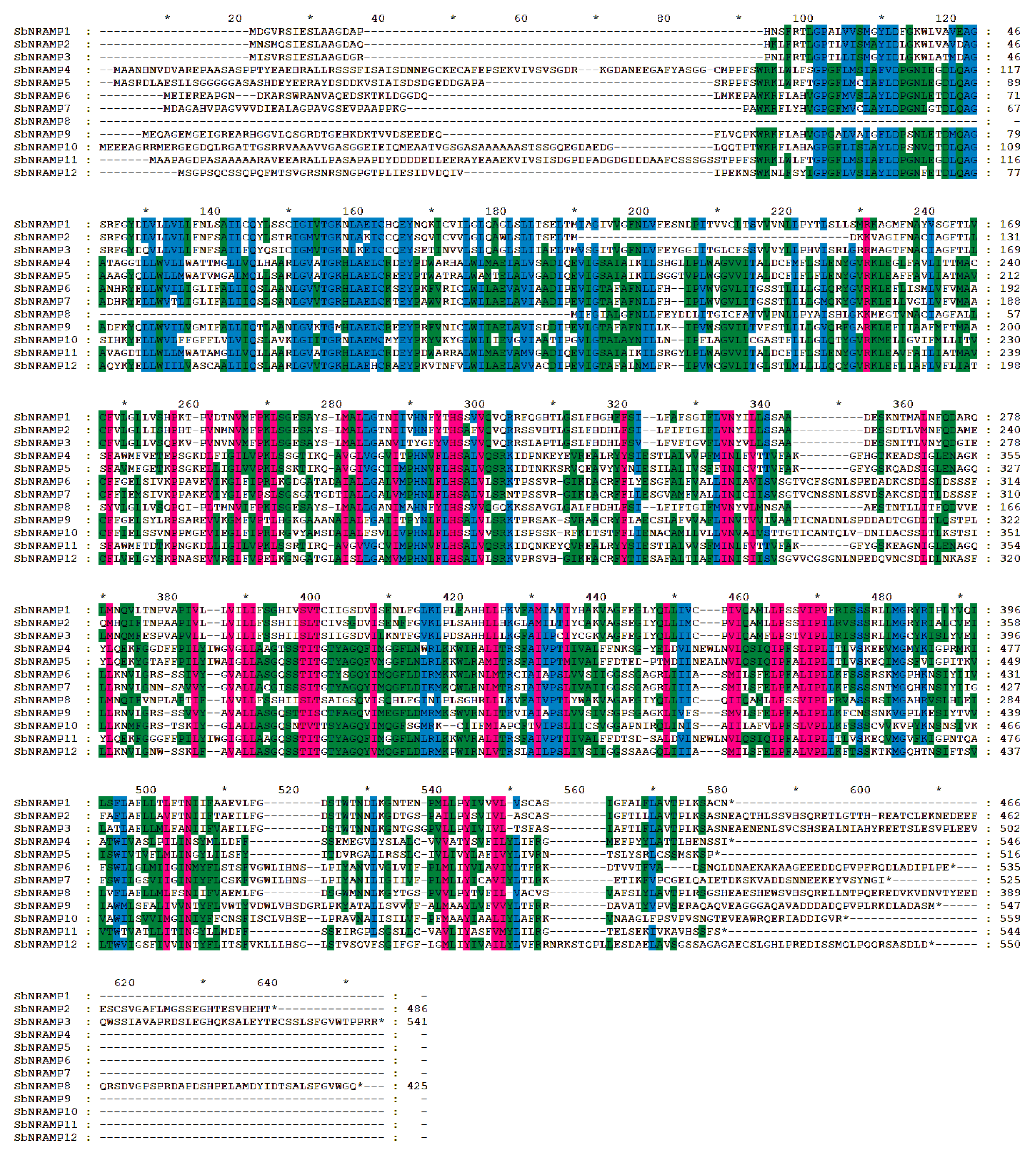 Plants 14 02660 g0a2