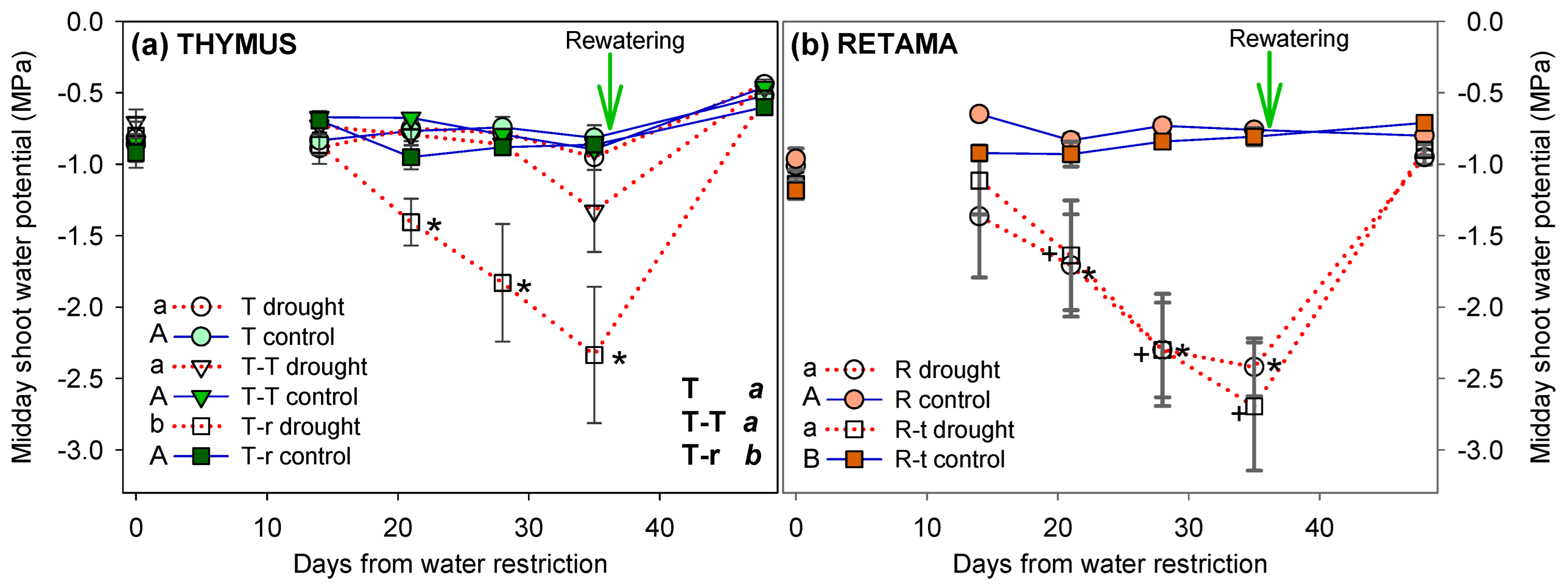 Plants 14 02663 g004
