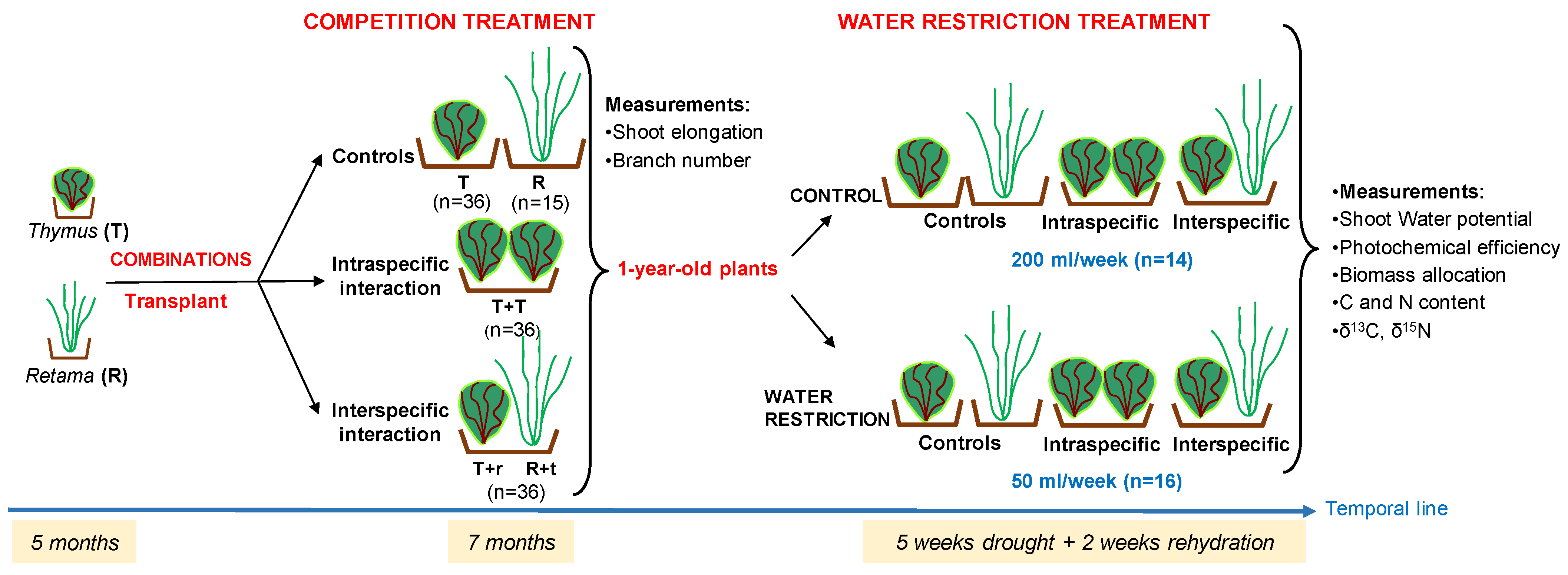 Plants 14 02663 g007