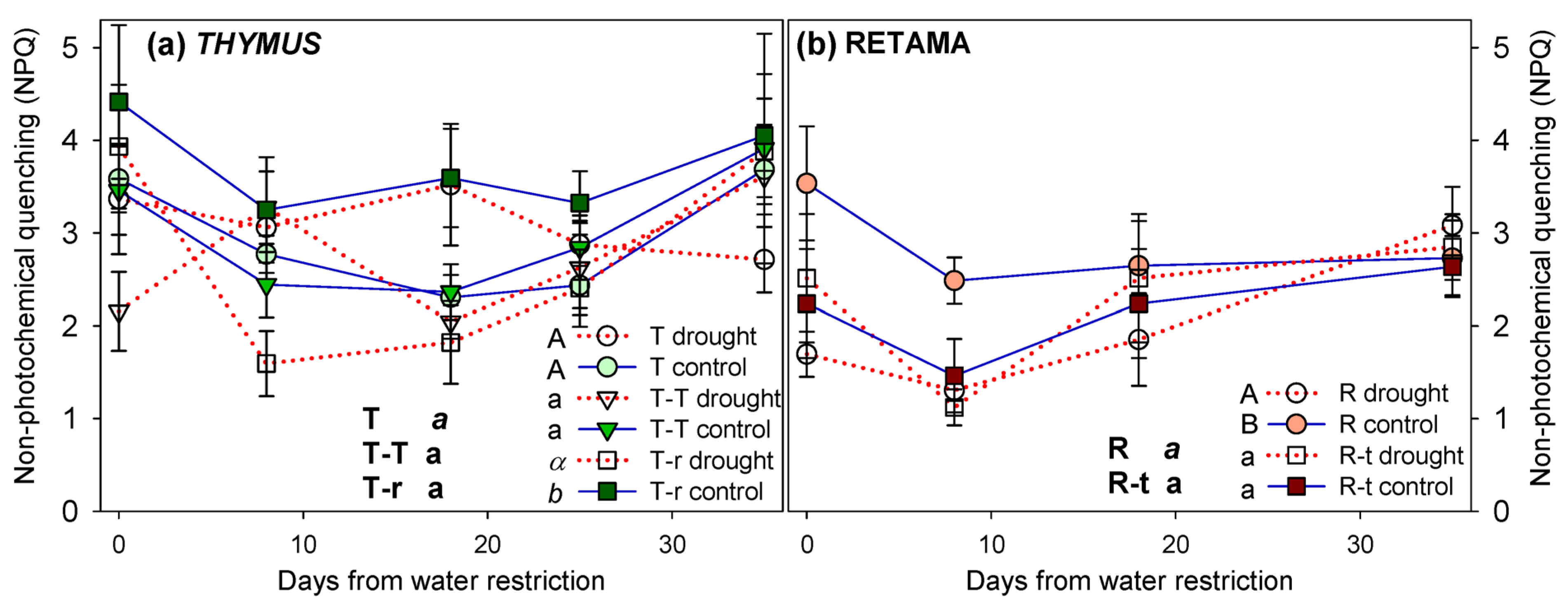Plants 14 02663 g0a2