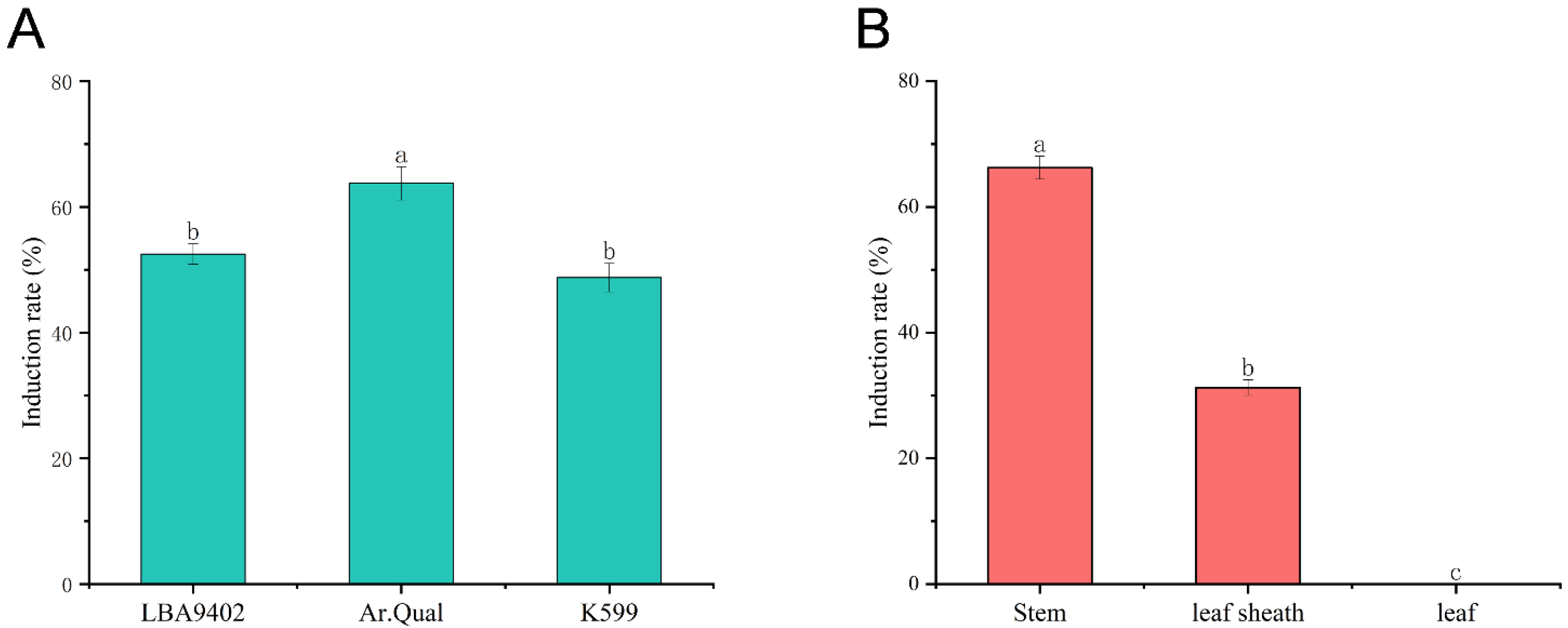 Plants 14 02664 g001
