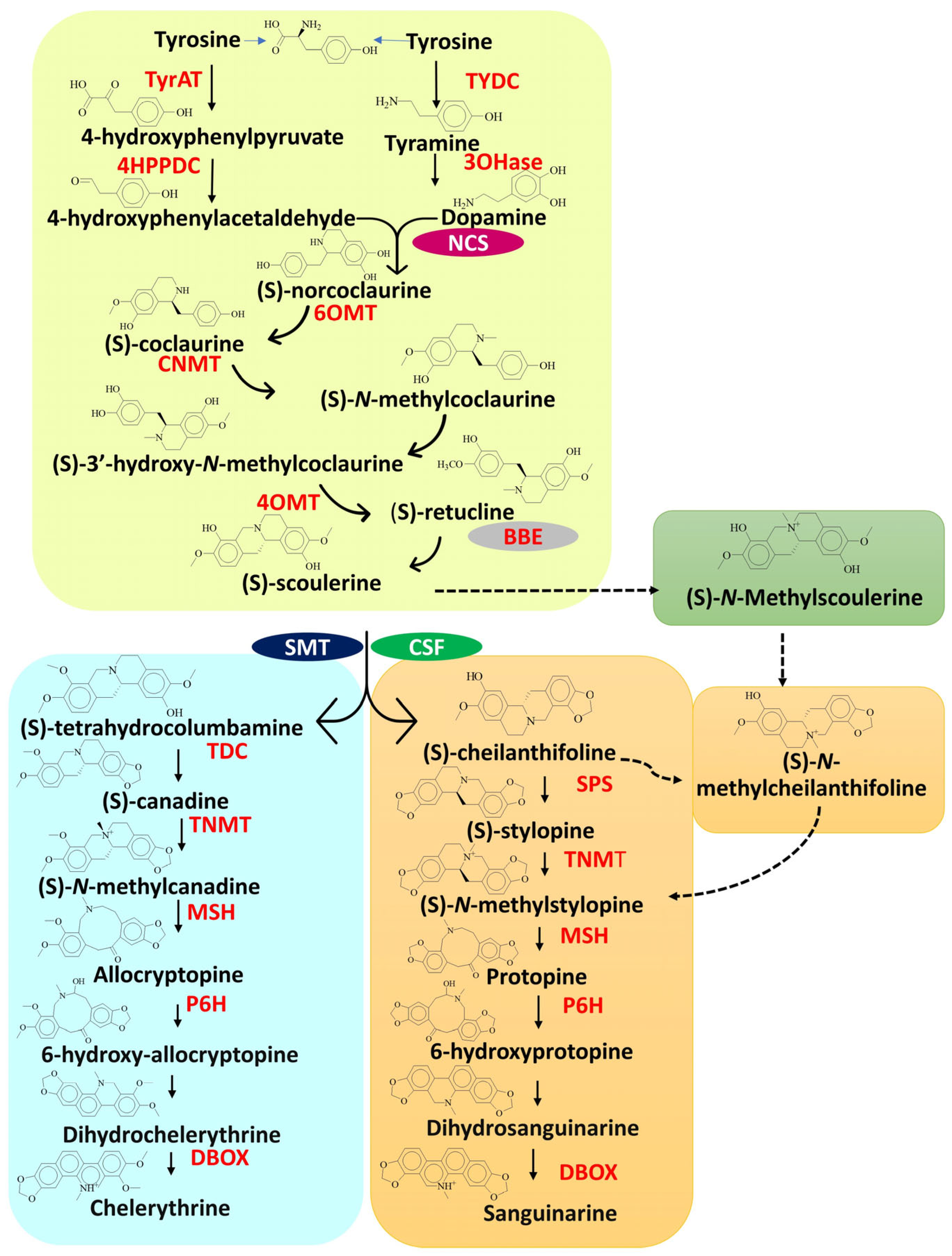 Plants 14 02667 g002