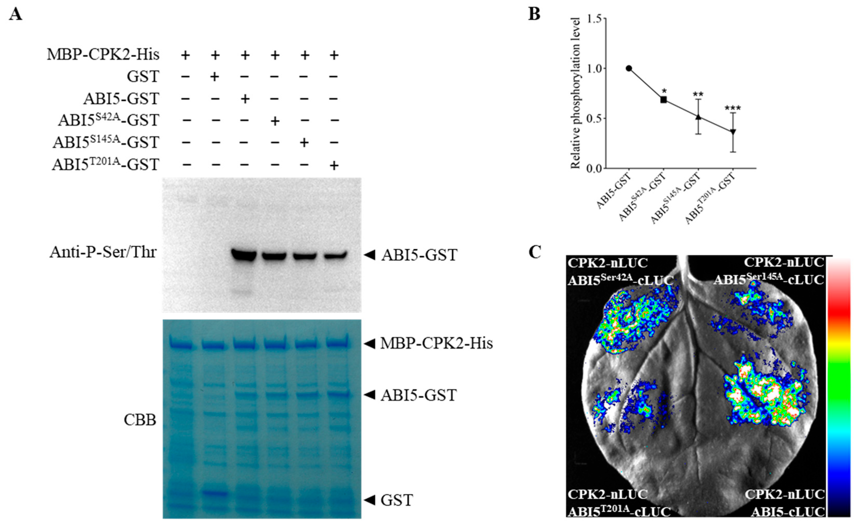 Plants 14 02671 g003 Plants 14 02671 g003