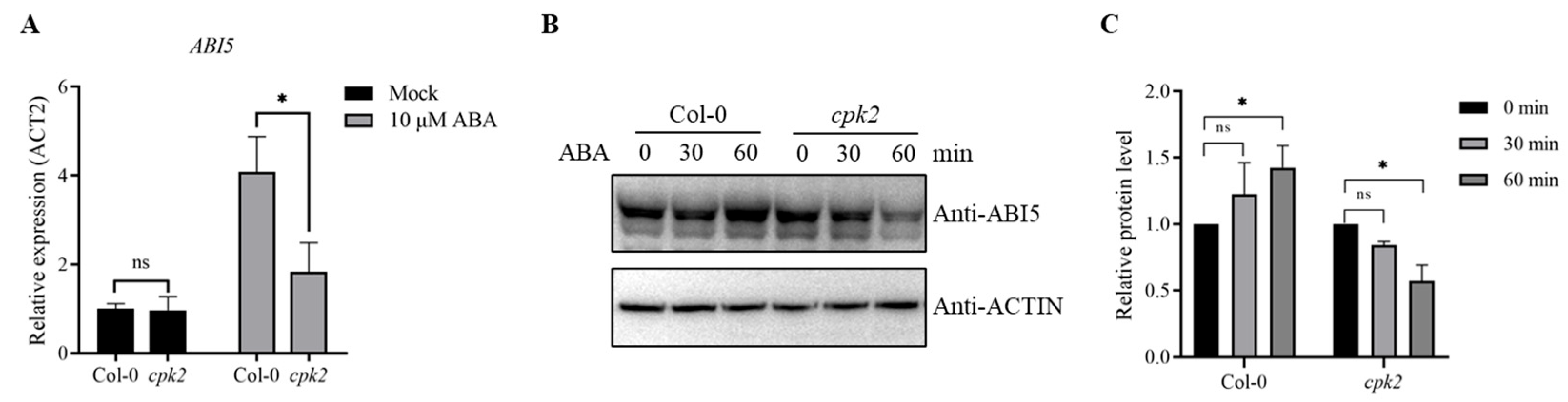 Plants 14 02671 g004 Plants 14 02671 g004