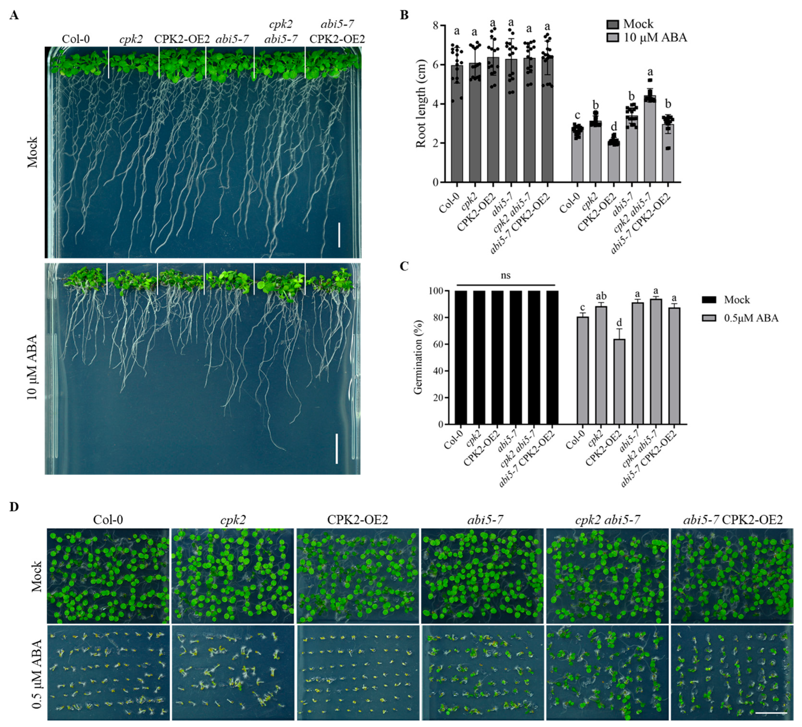 Plants 14 02671 g005 Plants 14 02671 g005