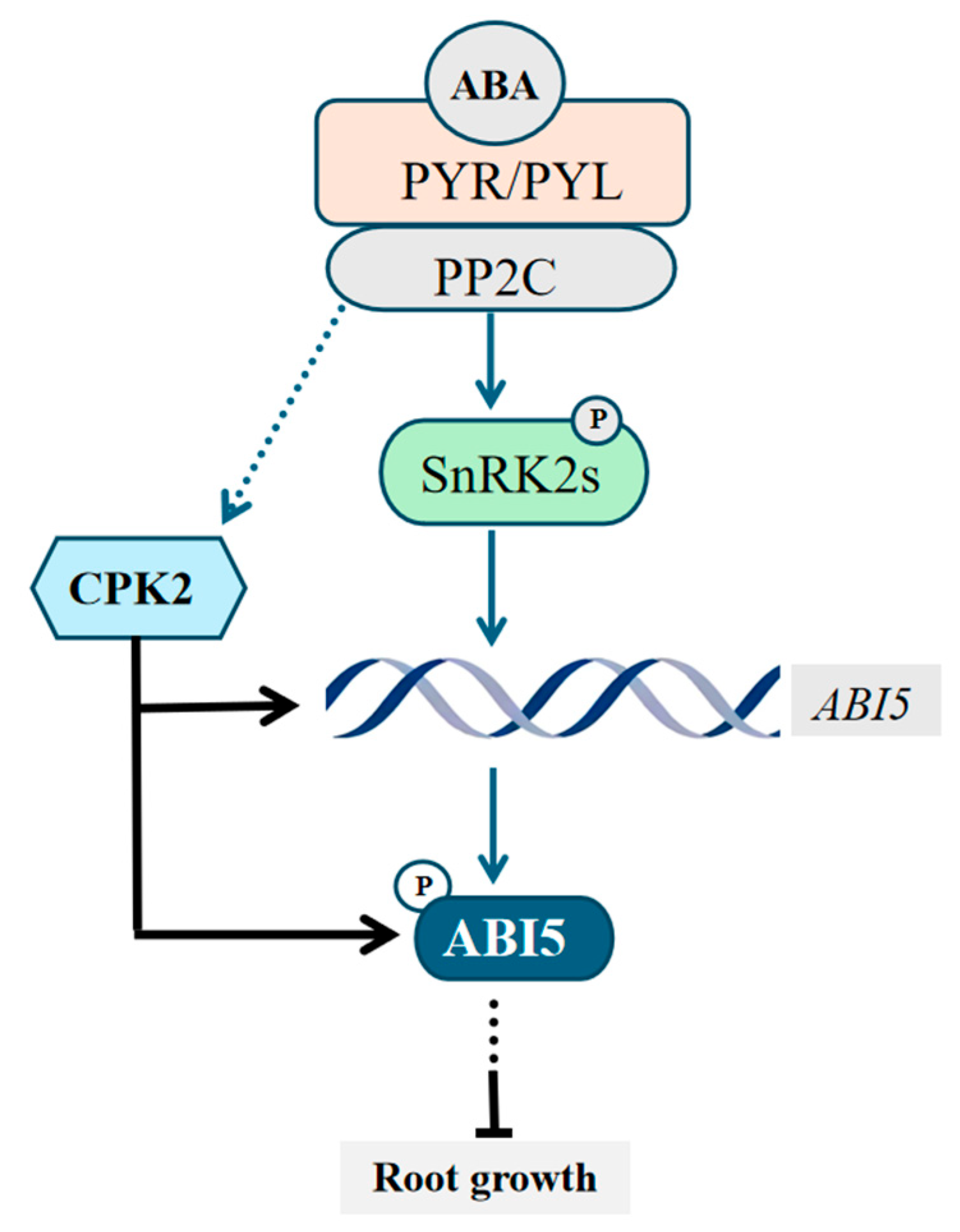 Plants 14 02671 g006 Plants 14 02671 g006