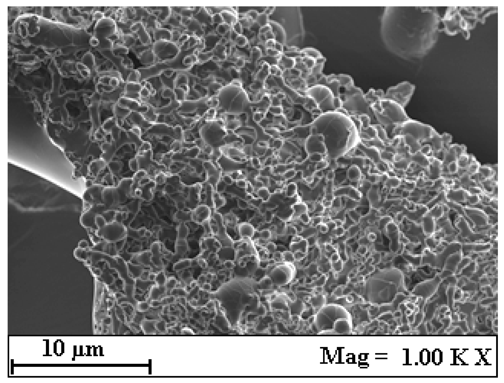 Plants 14 02678 g003