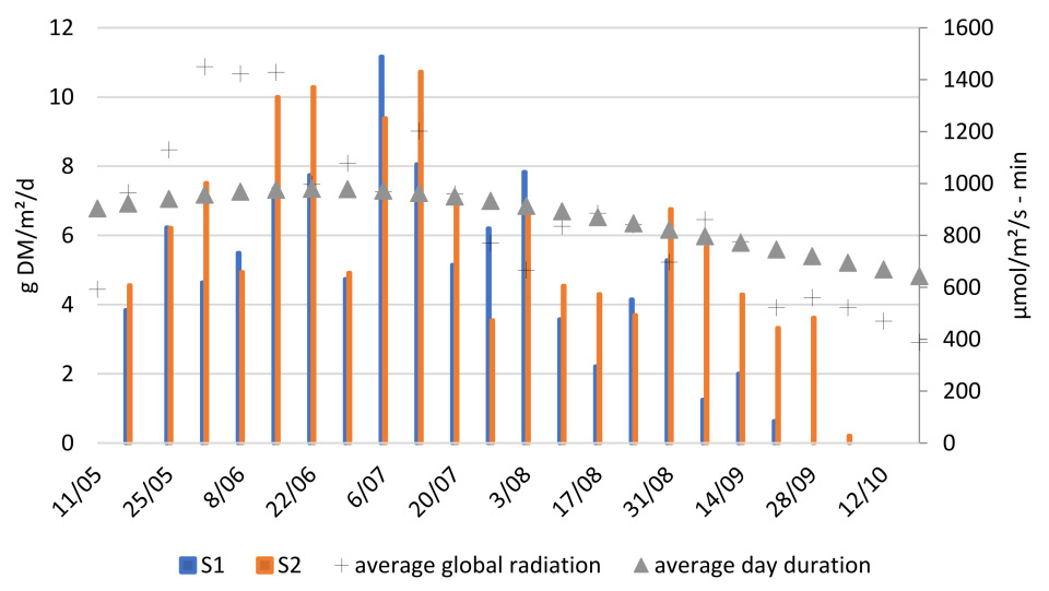 Plants 14 02680 g0a1