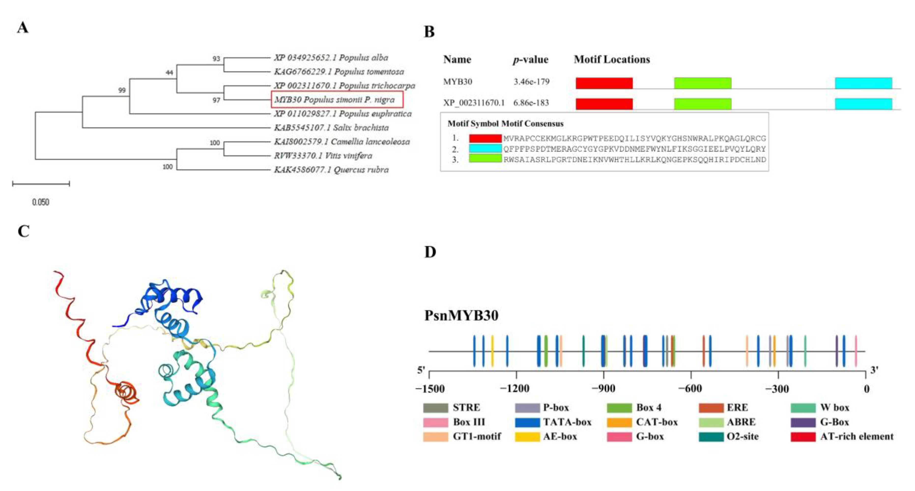 Plants 14 02681 g002