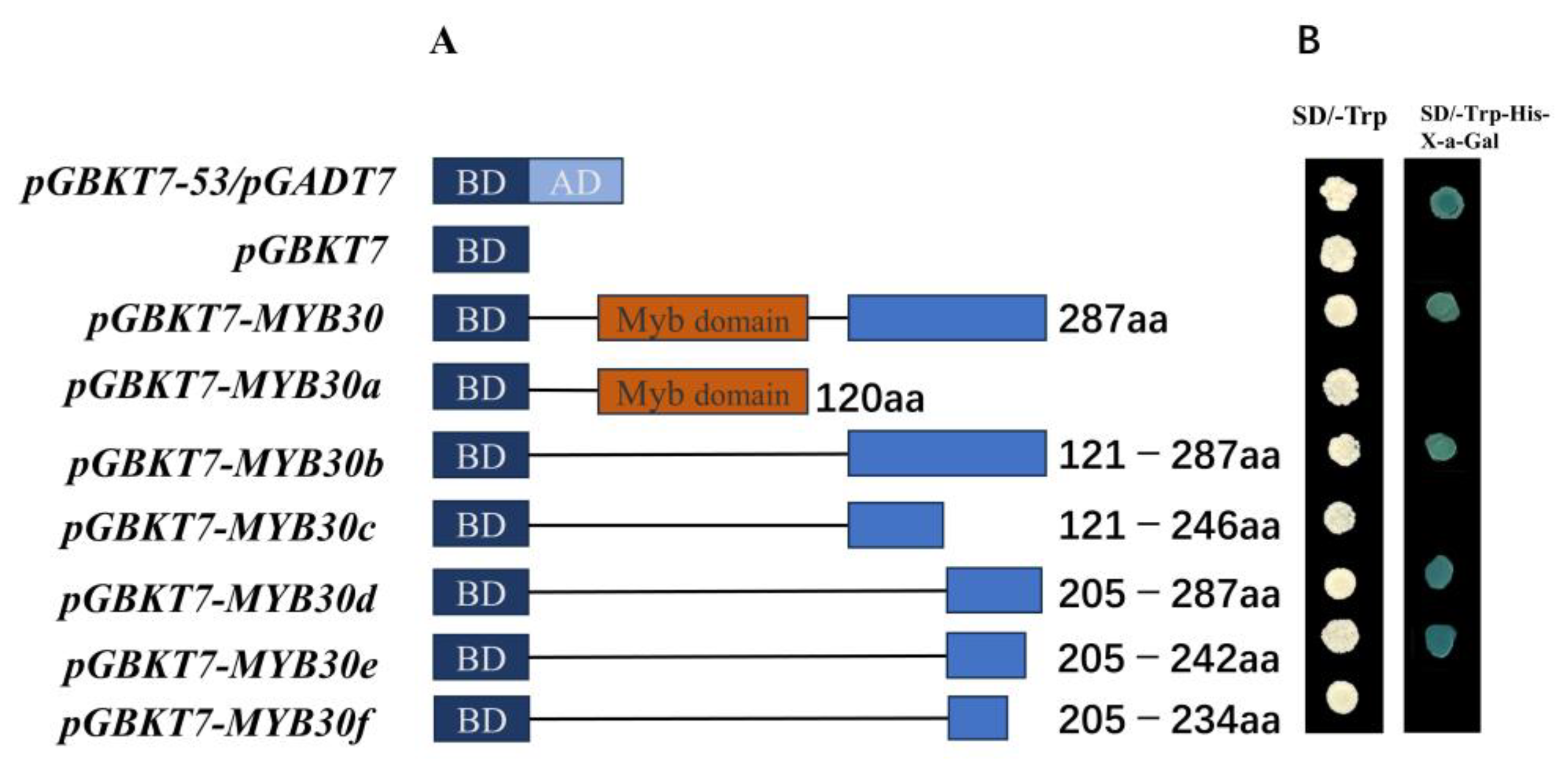 Plants 14 02681 g005