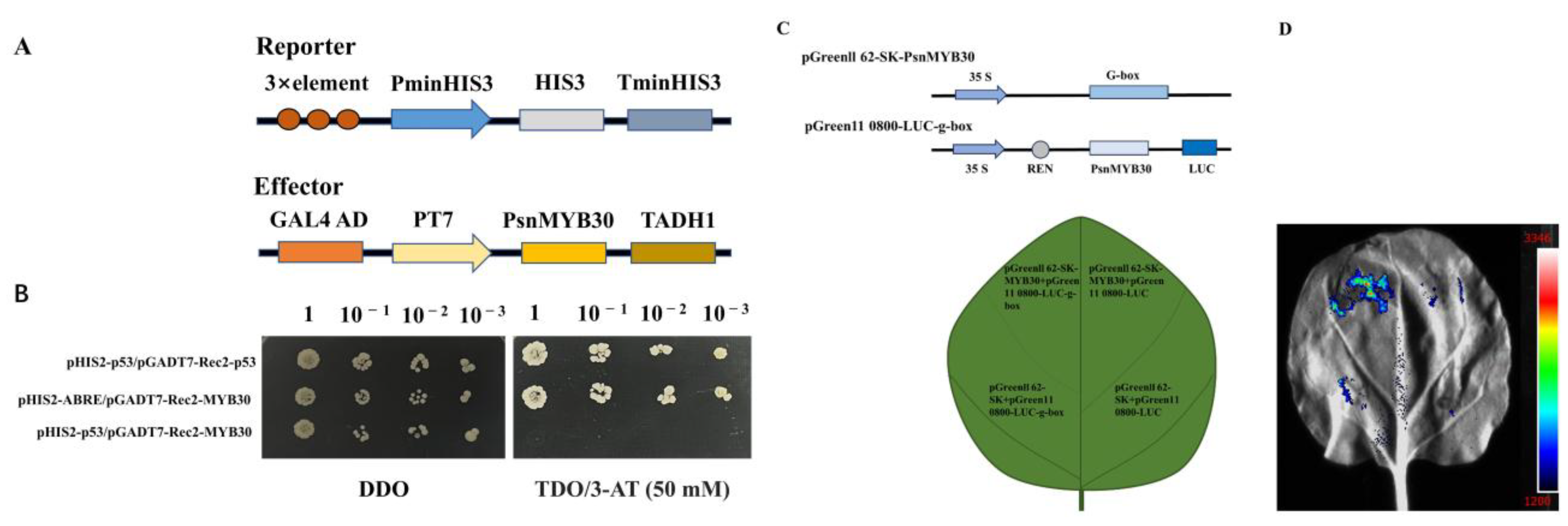 Plants 14 02681 g006