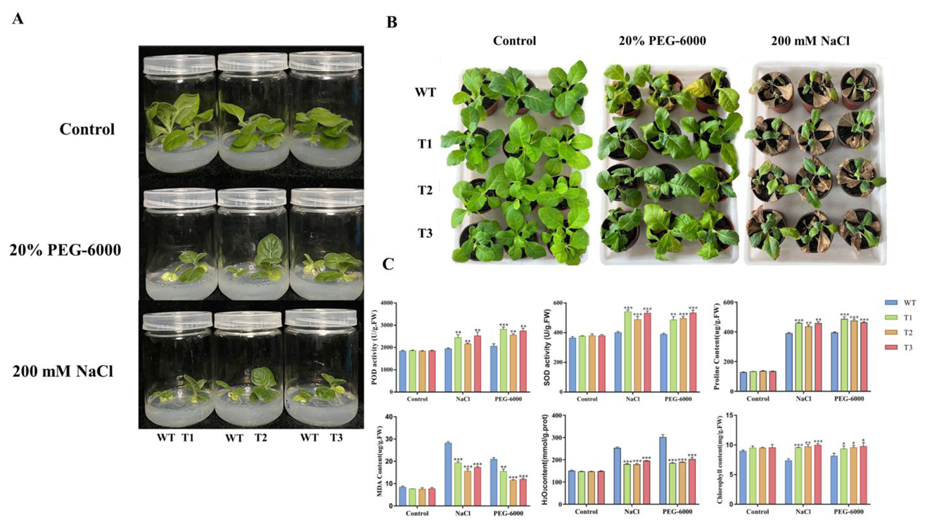 Plants 14 02681 g008