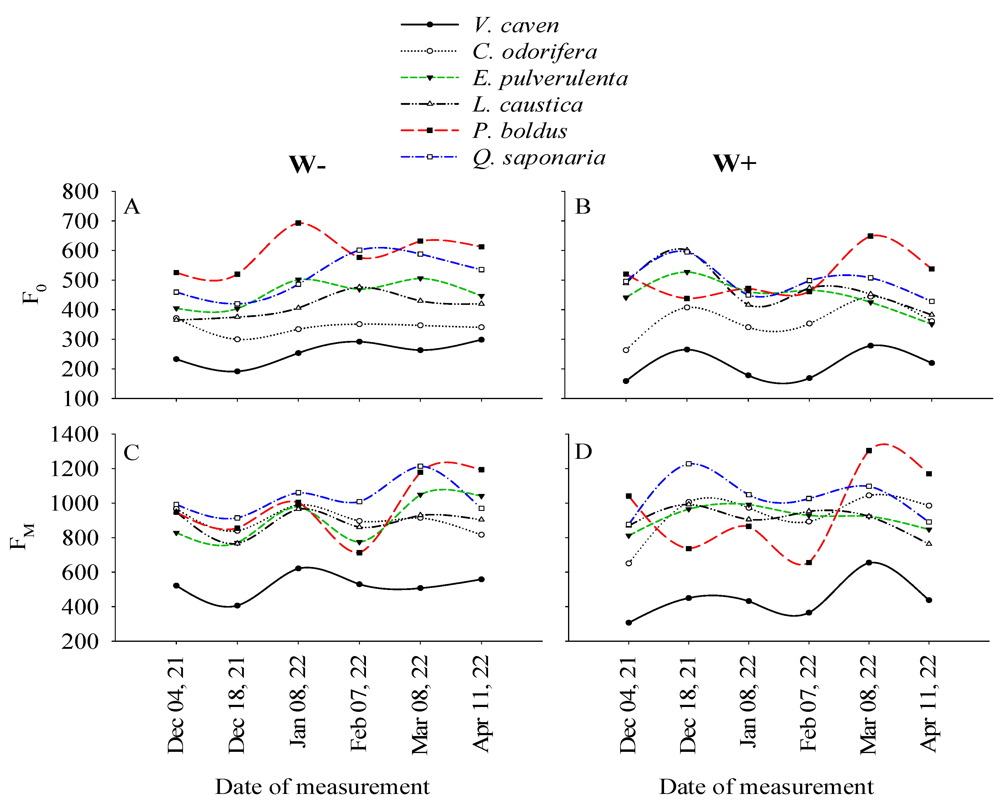 Plants 14 02682 g001 Plants 14 02682 g001