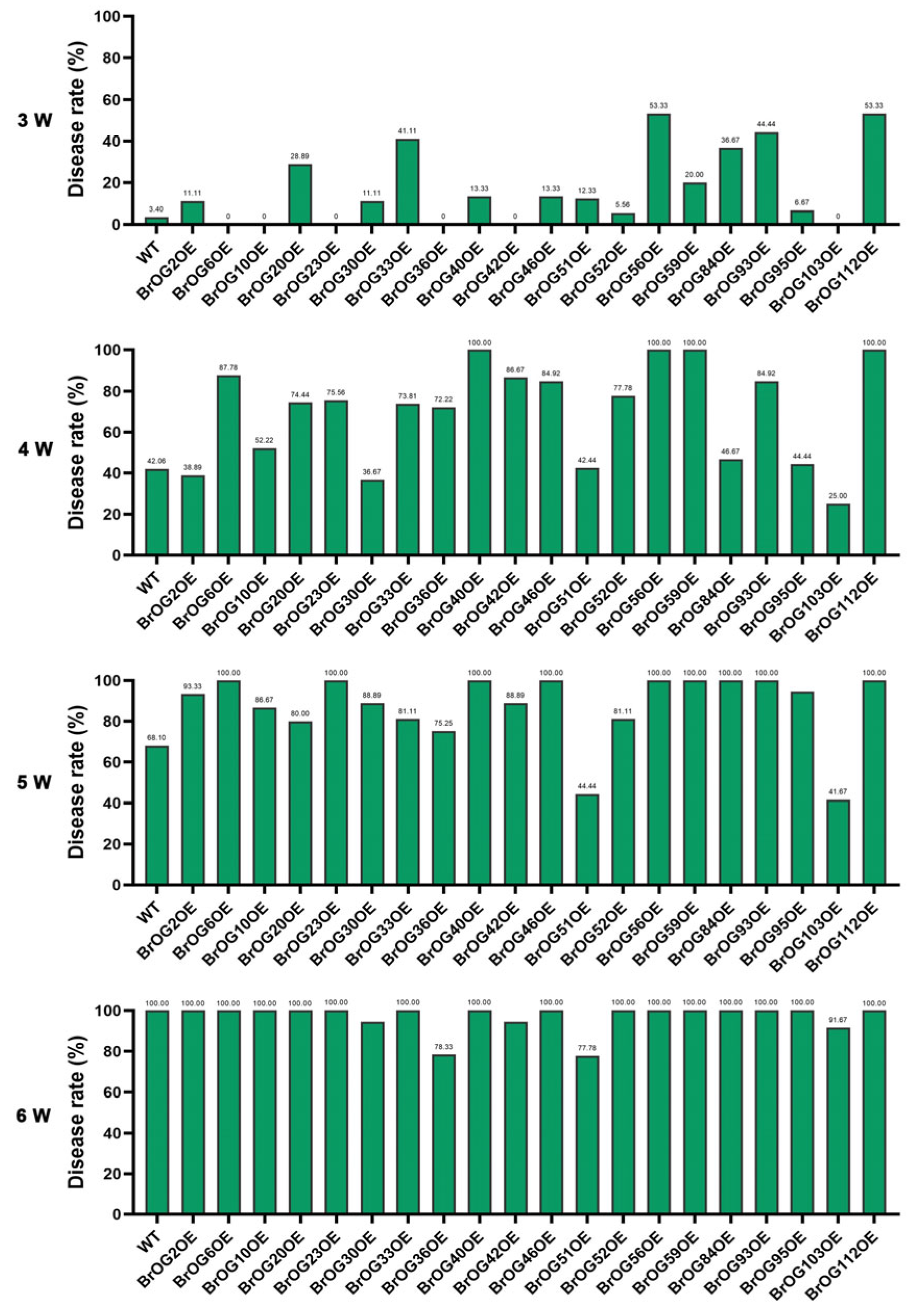 Plants 14 02683 g001 Plants 14 02683 g001