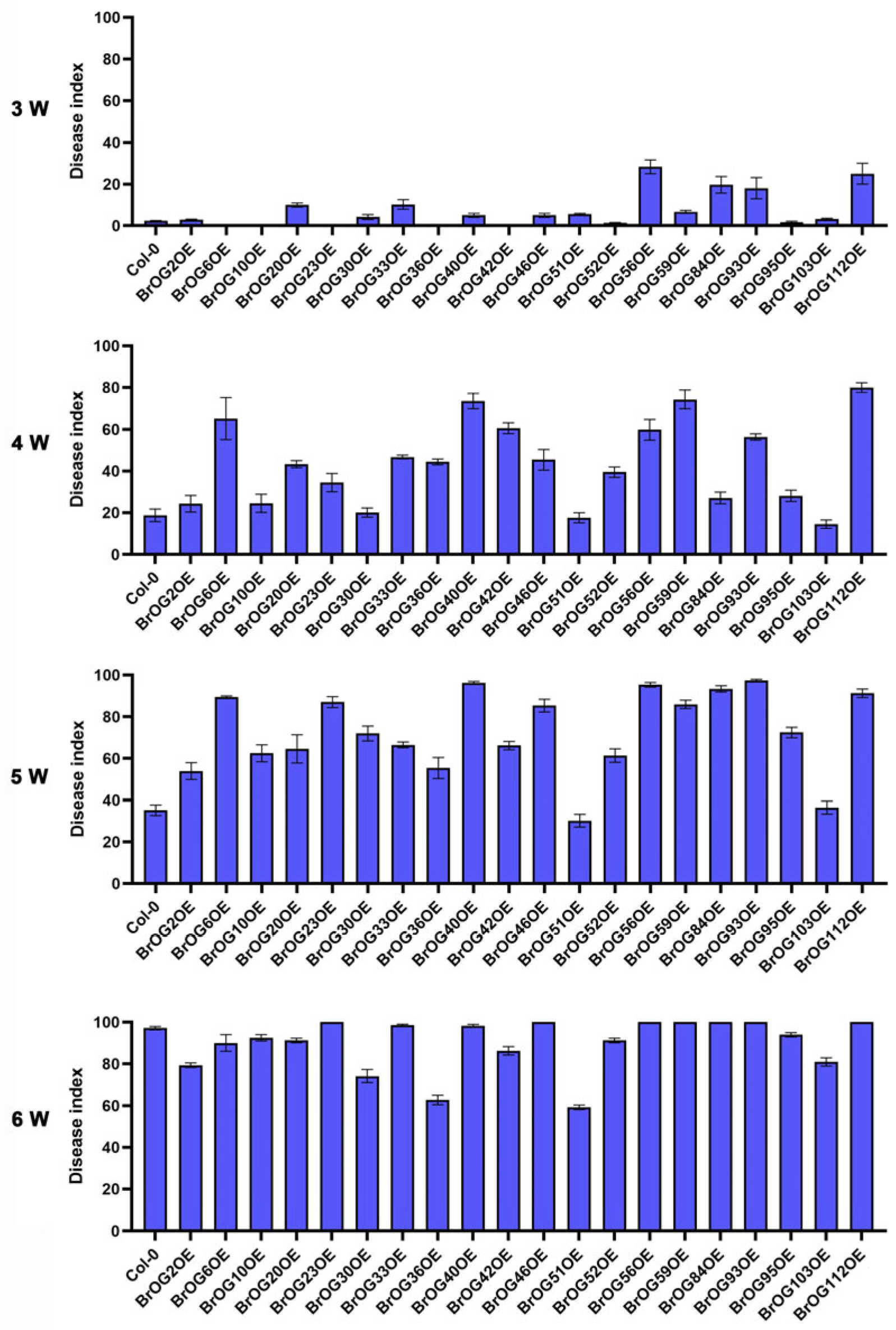 Plants 14 02683 g002 Plants 14 02683 g002
