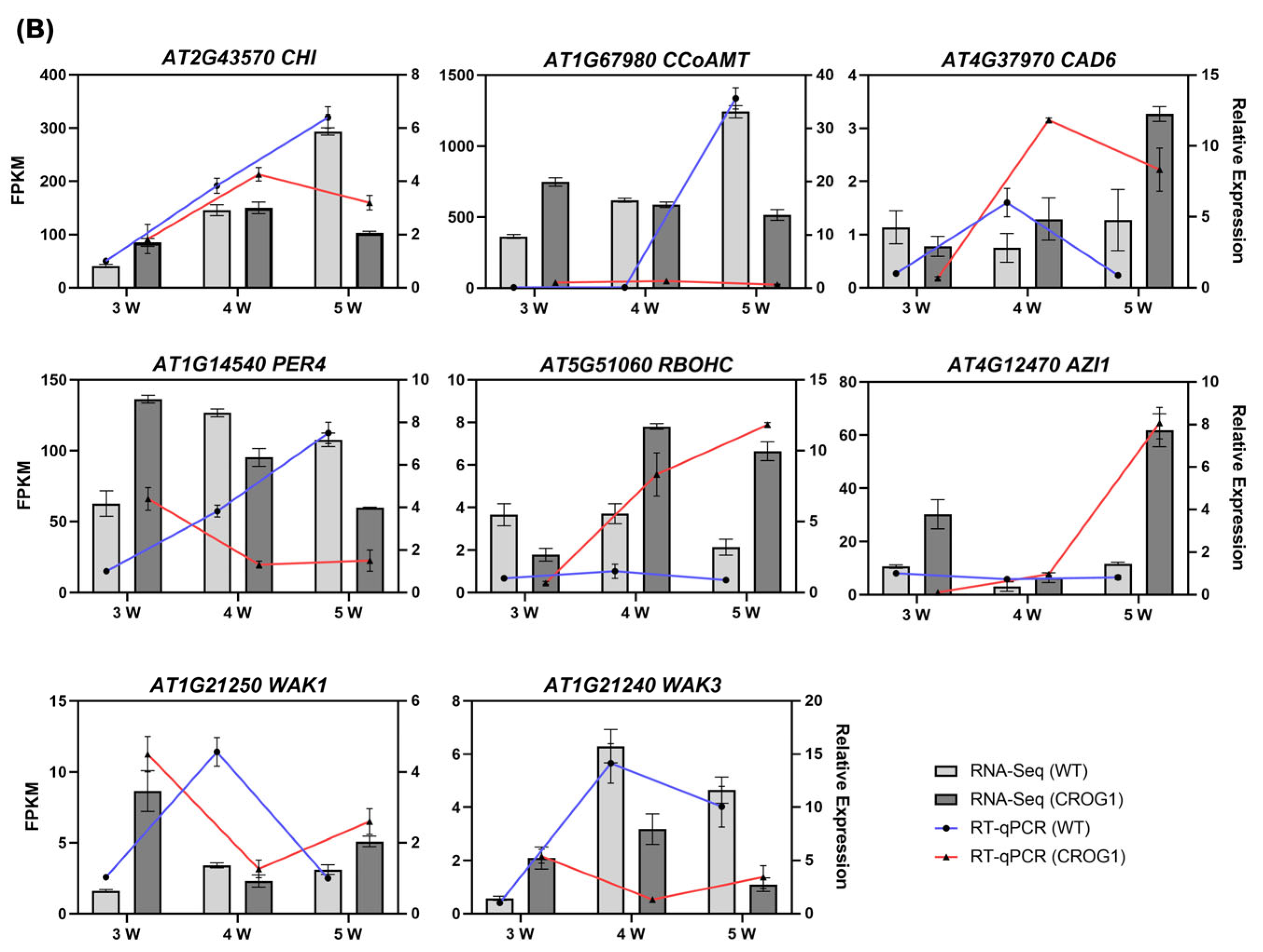 Plants 14 02683 g007b Plants 14 02683 g007b