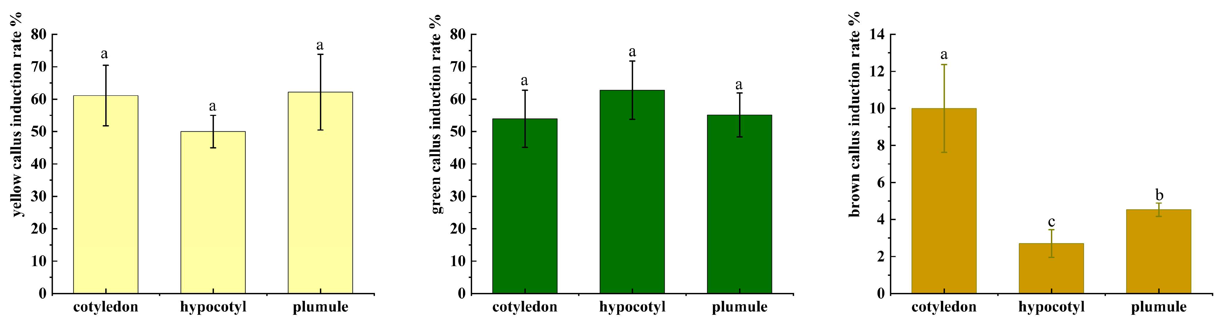 Plants 14 02688 g004