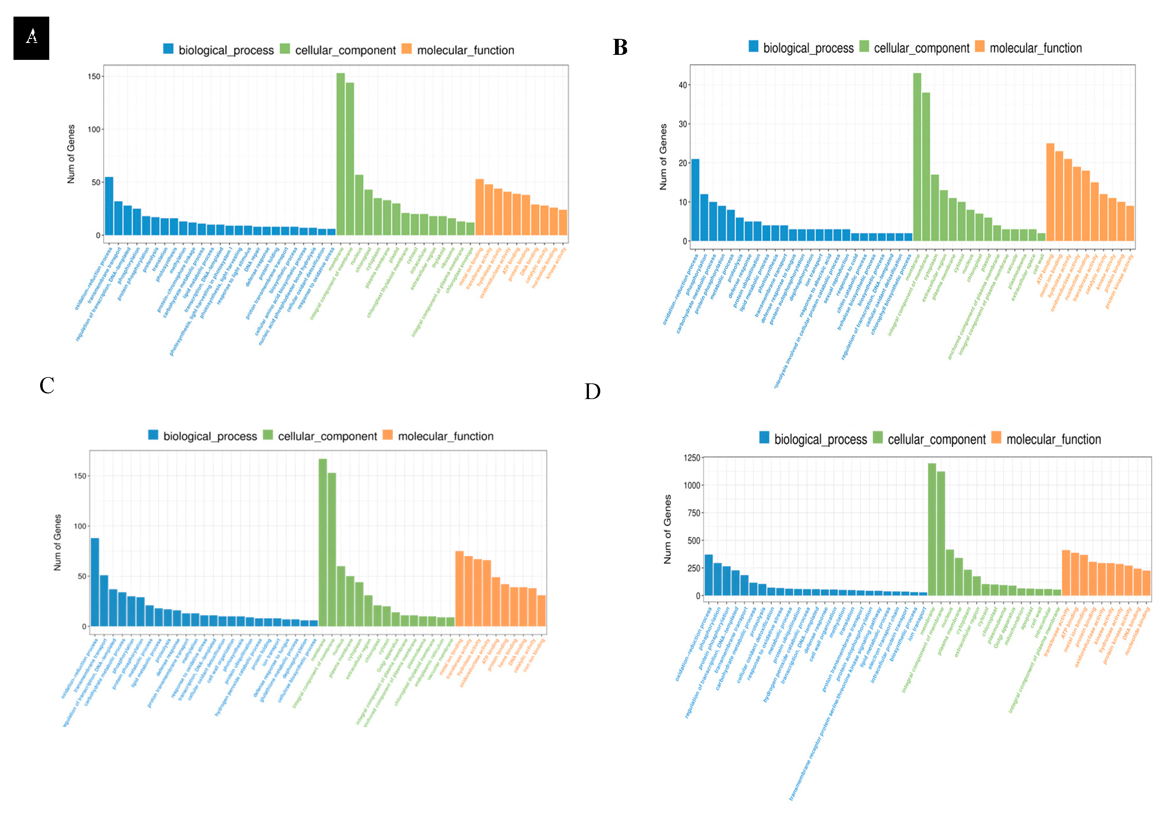 Plants 14 02689 g006 Plants 14 02689 g006