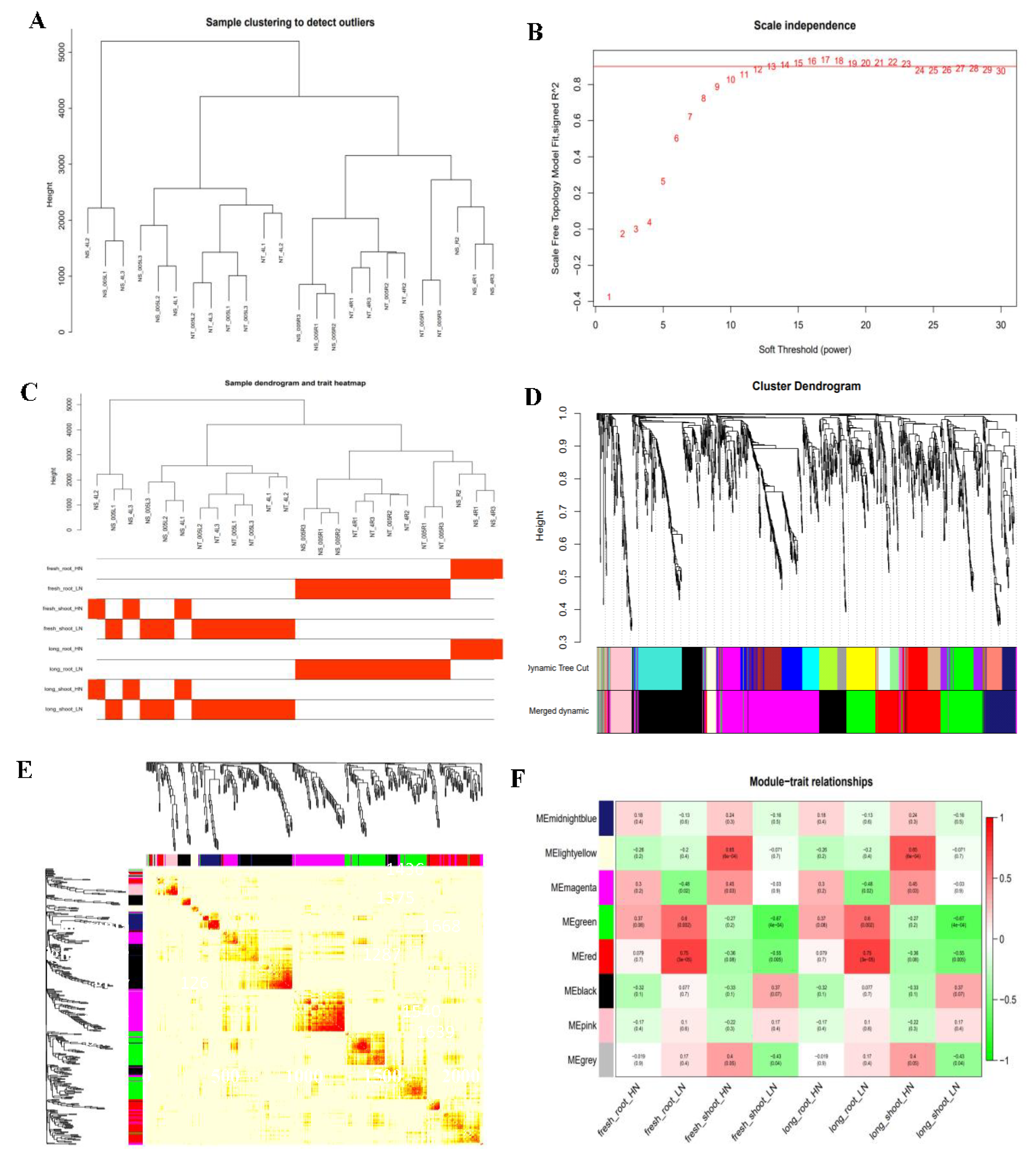 Plants 14 02689 g008 Plants 14 02689 g008