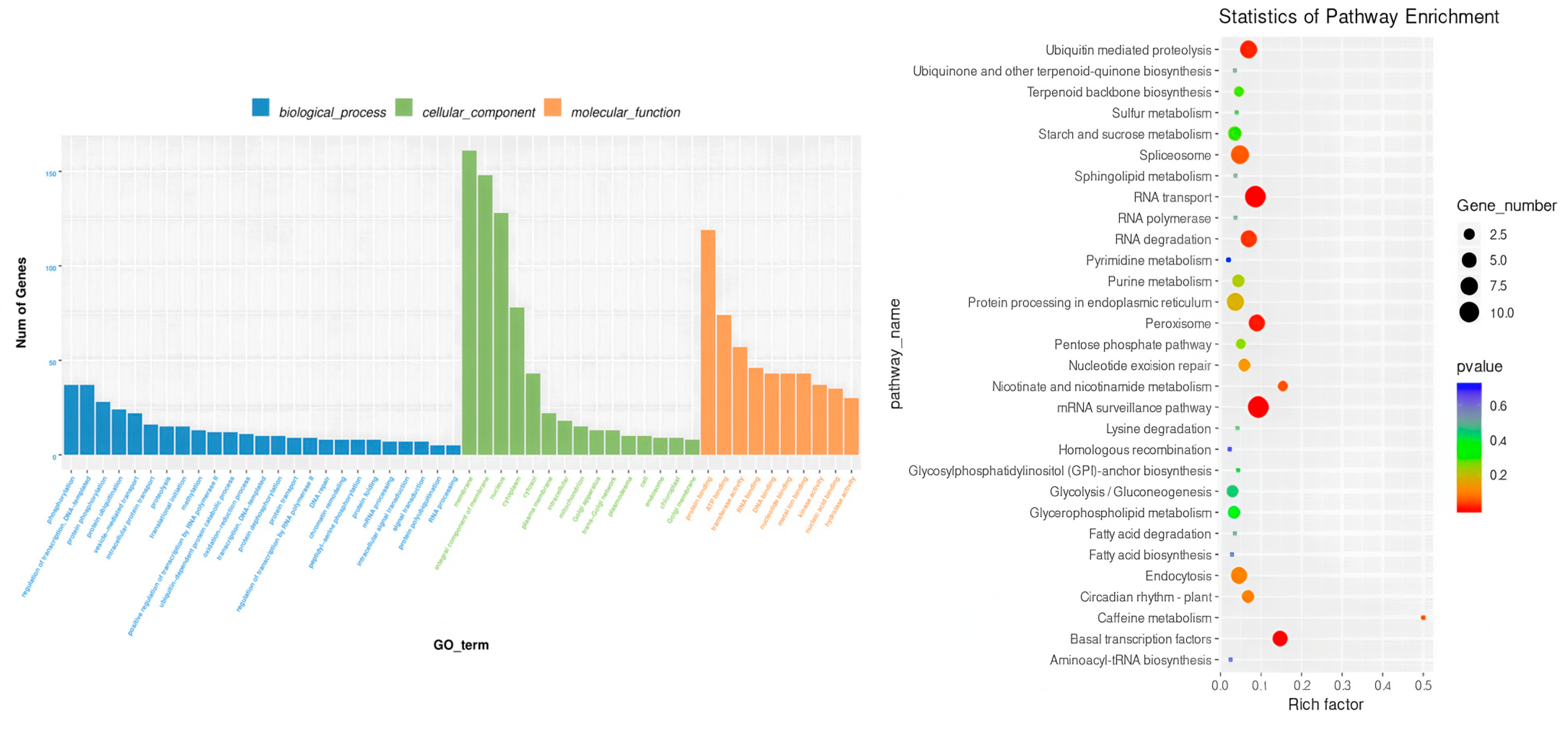 Plants 14 02689 g009 Plants 14 02689 g009