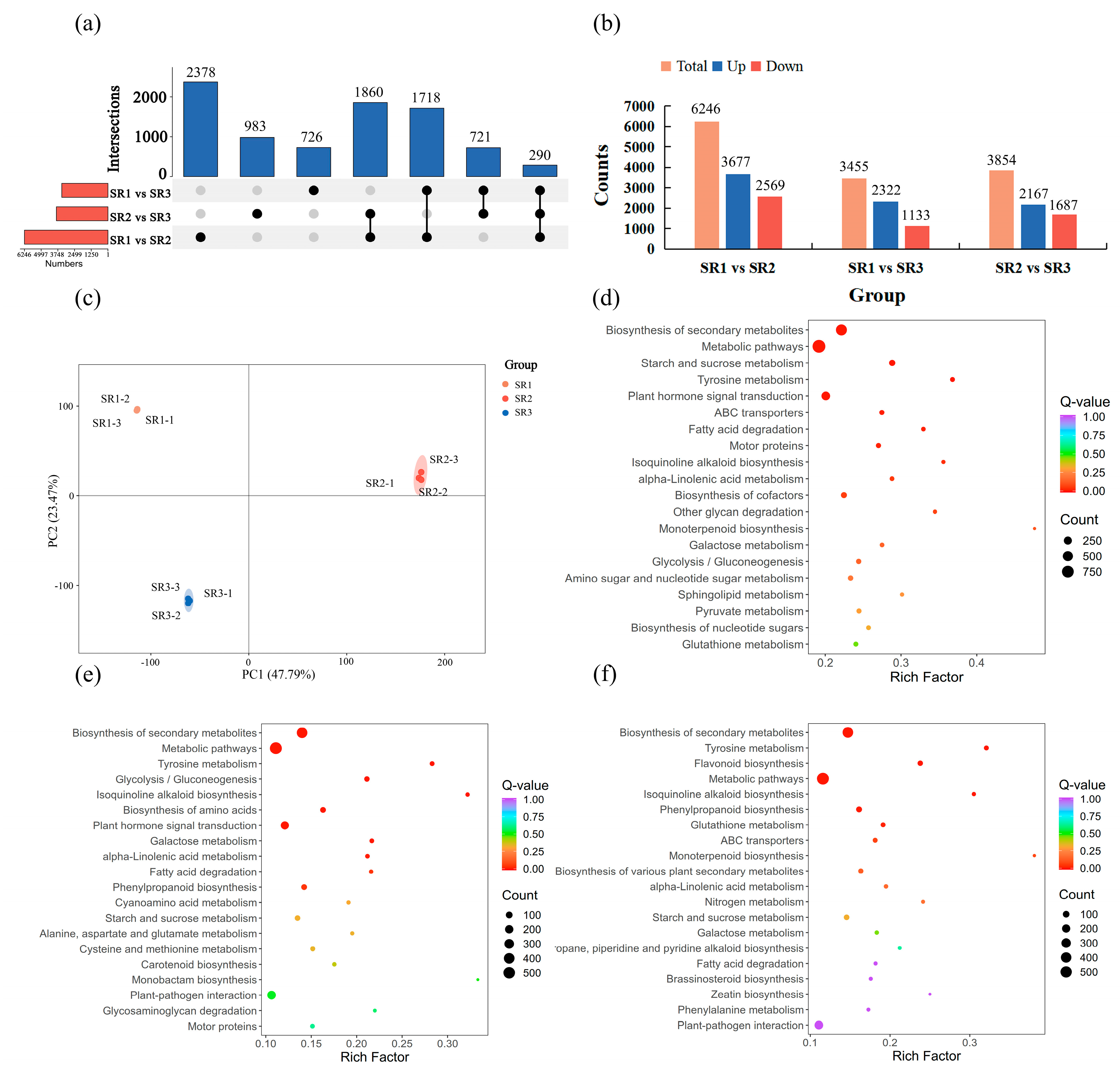 Plants 14 02691 g003