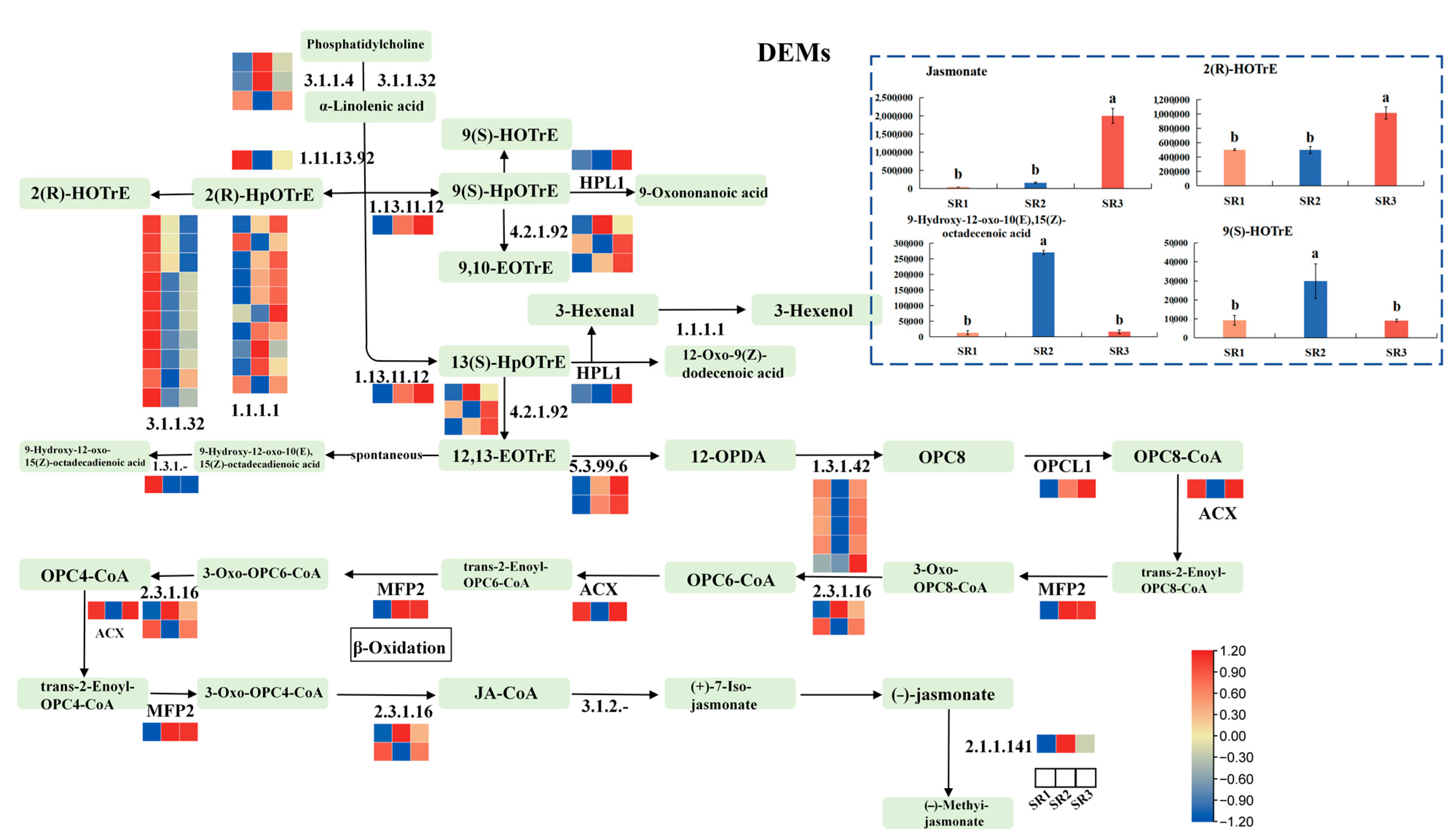 Plants 14 02691 g008