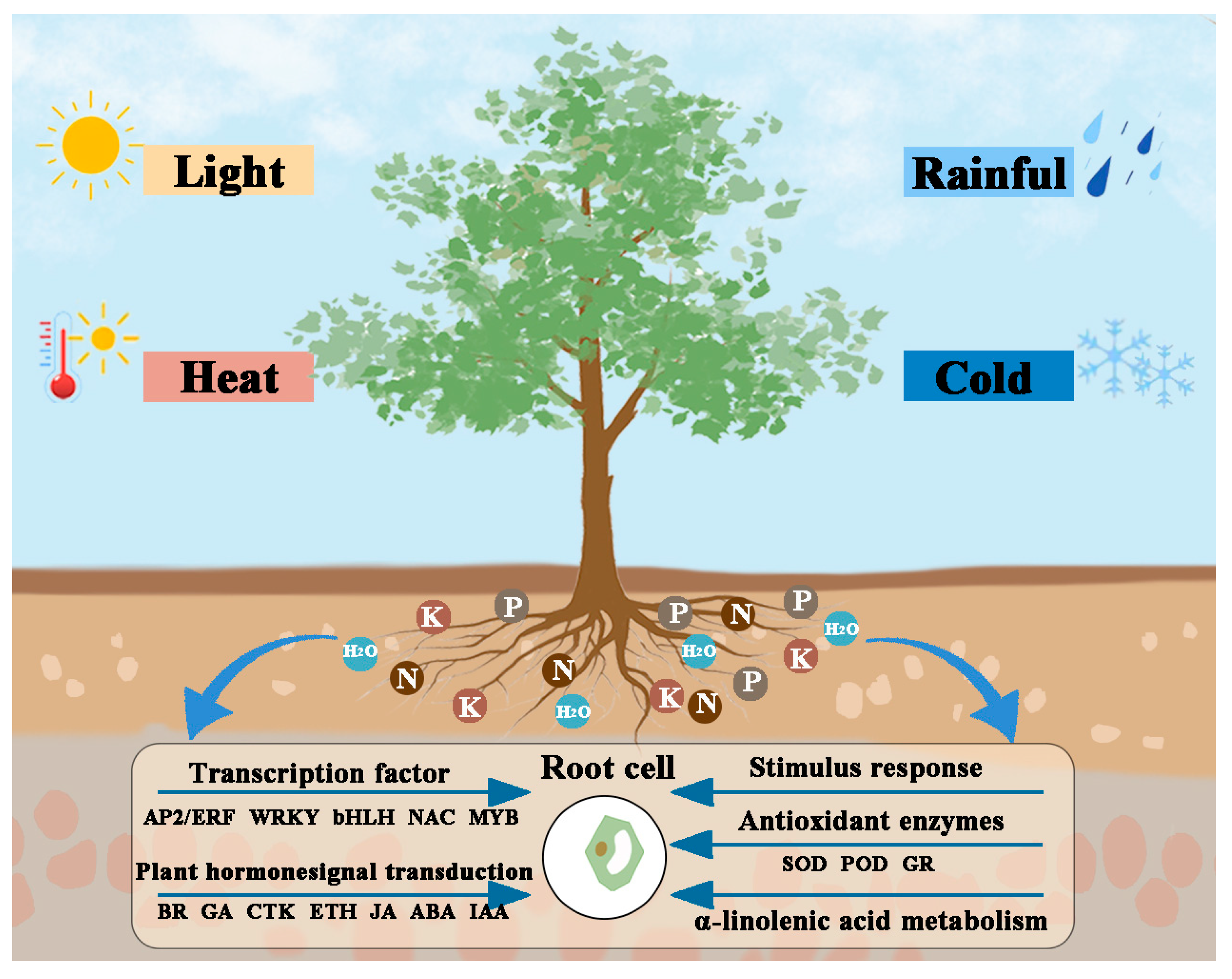 Plants 14 02691 g009