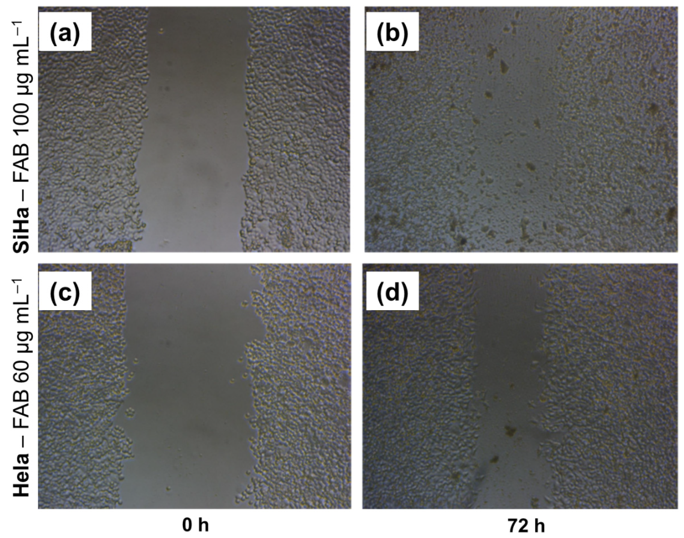 Plants 14 02693 g005 Plants 14 02693 g005