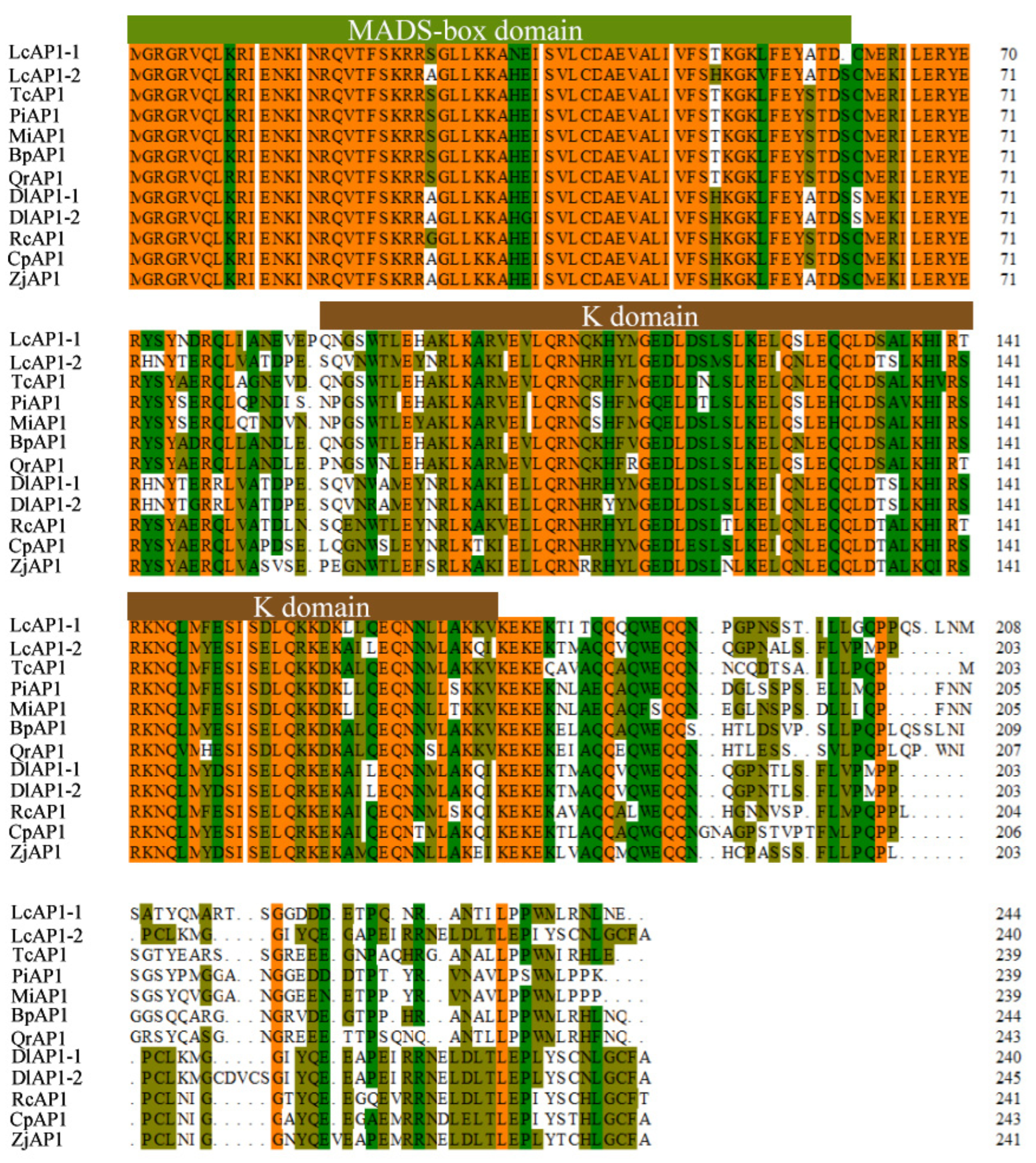 Plants 14 02697 g003