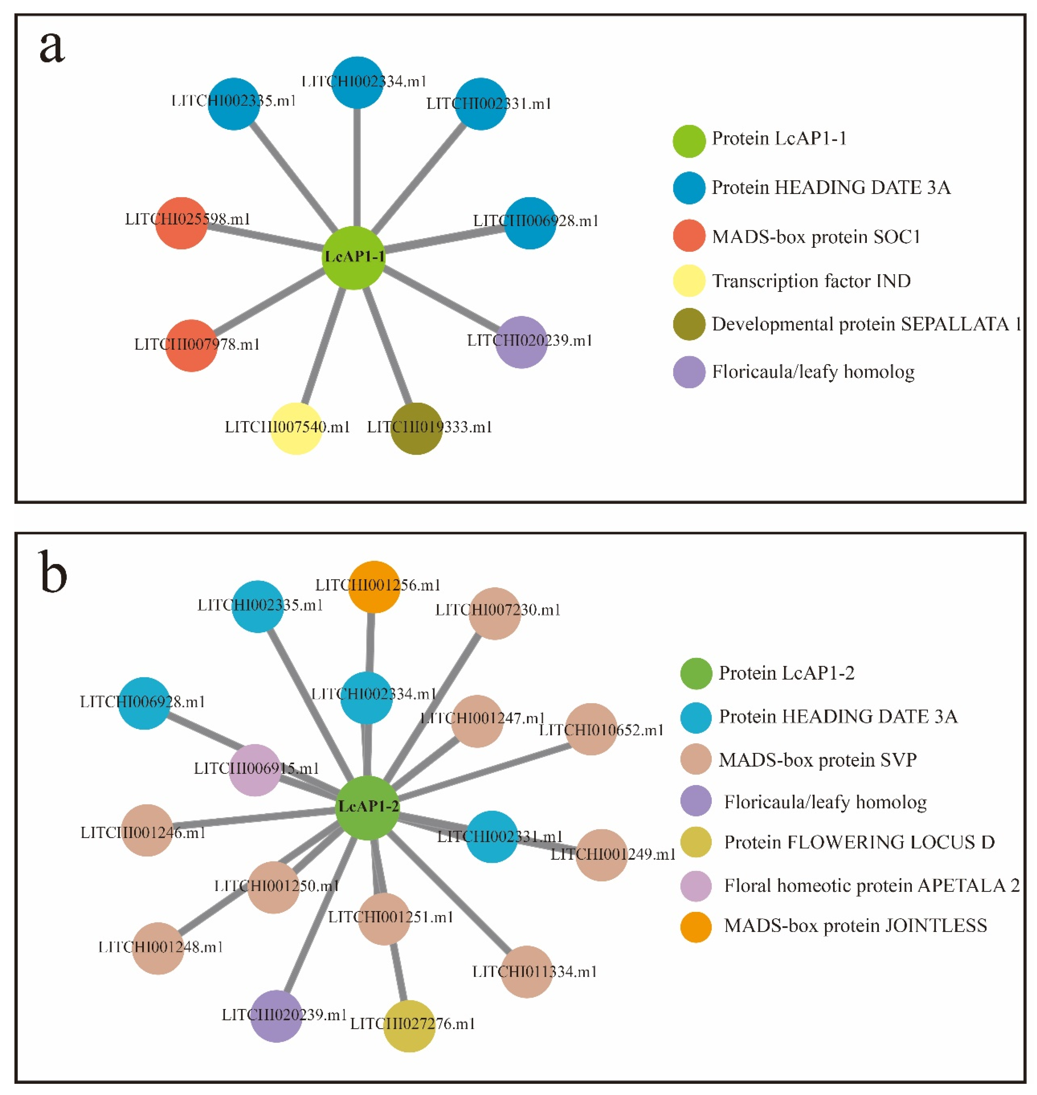 Plants 14 02697 g005